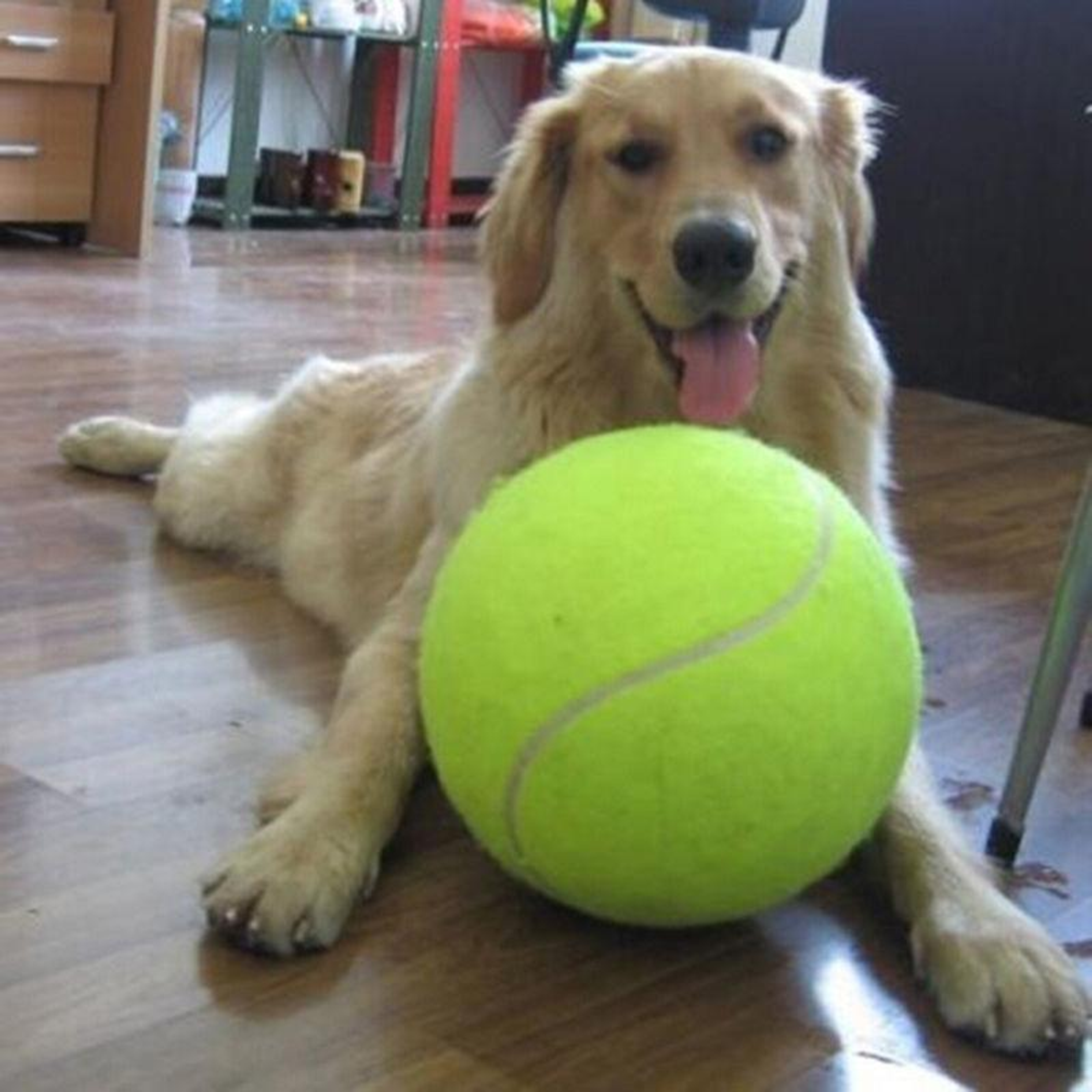 Jumbo Tennis Ball Image 1