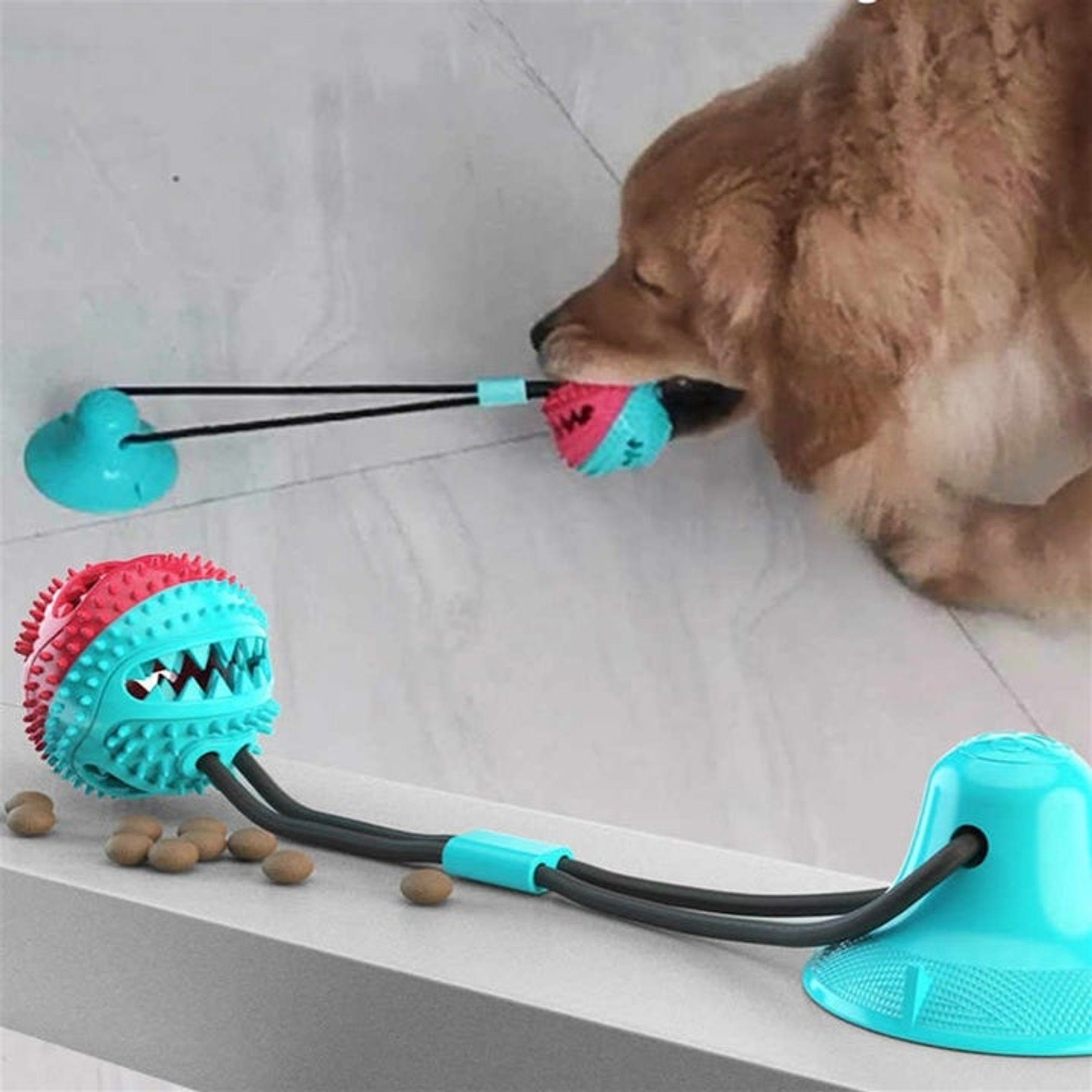 Treat Dispensing Dog Pull Toy Image 1