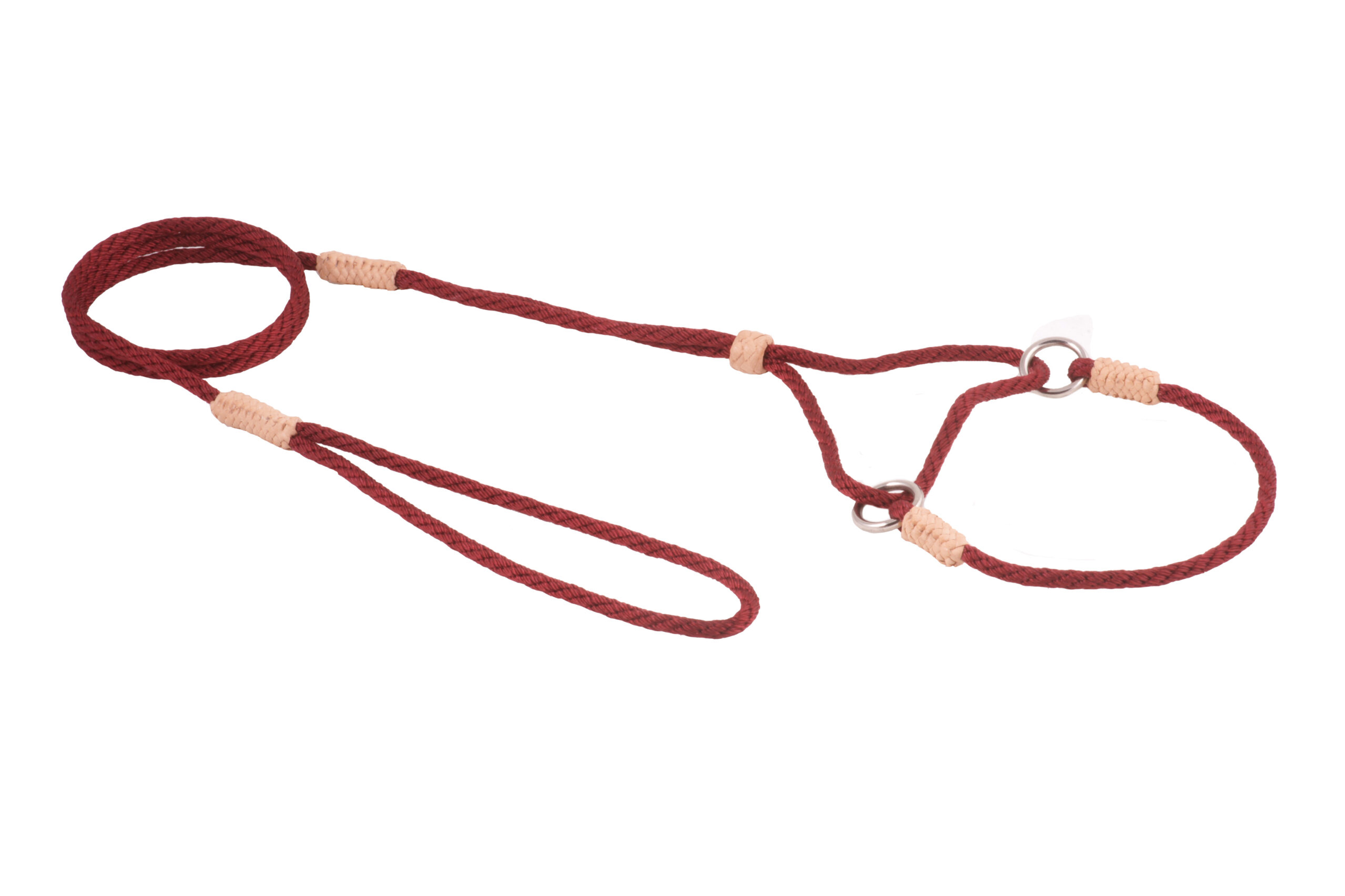 Nylon Martingale Leads (8in x 1/8in or 4mm) Image 1