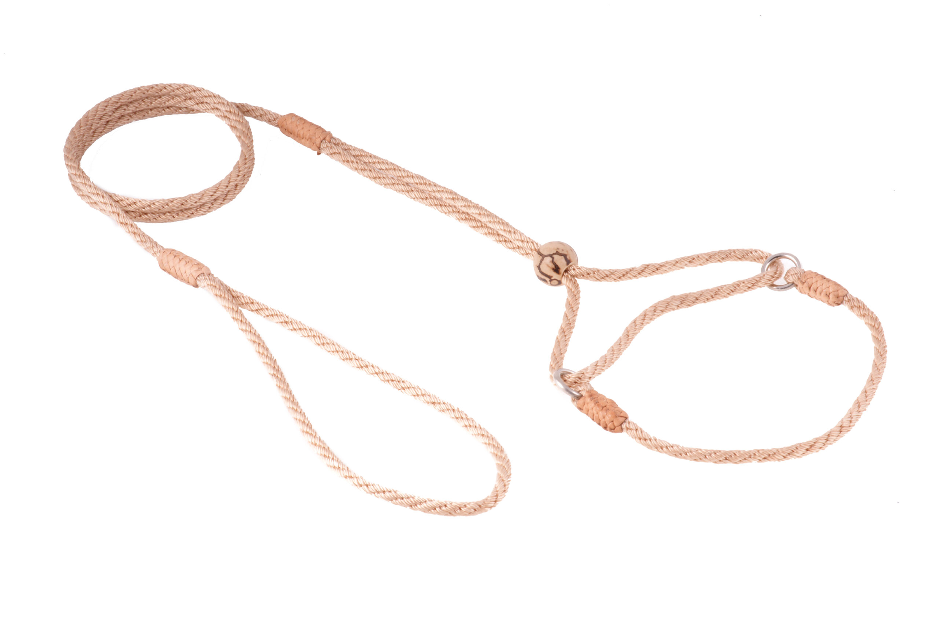 Nylon Martingale Leads (8in x 1/8in or 4mm) Image 1