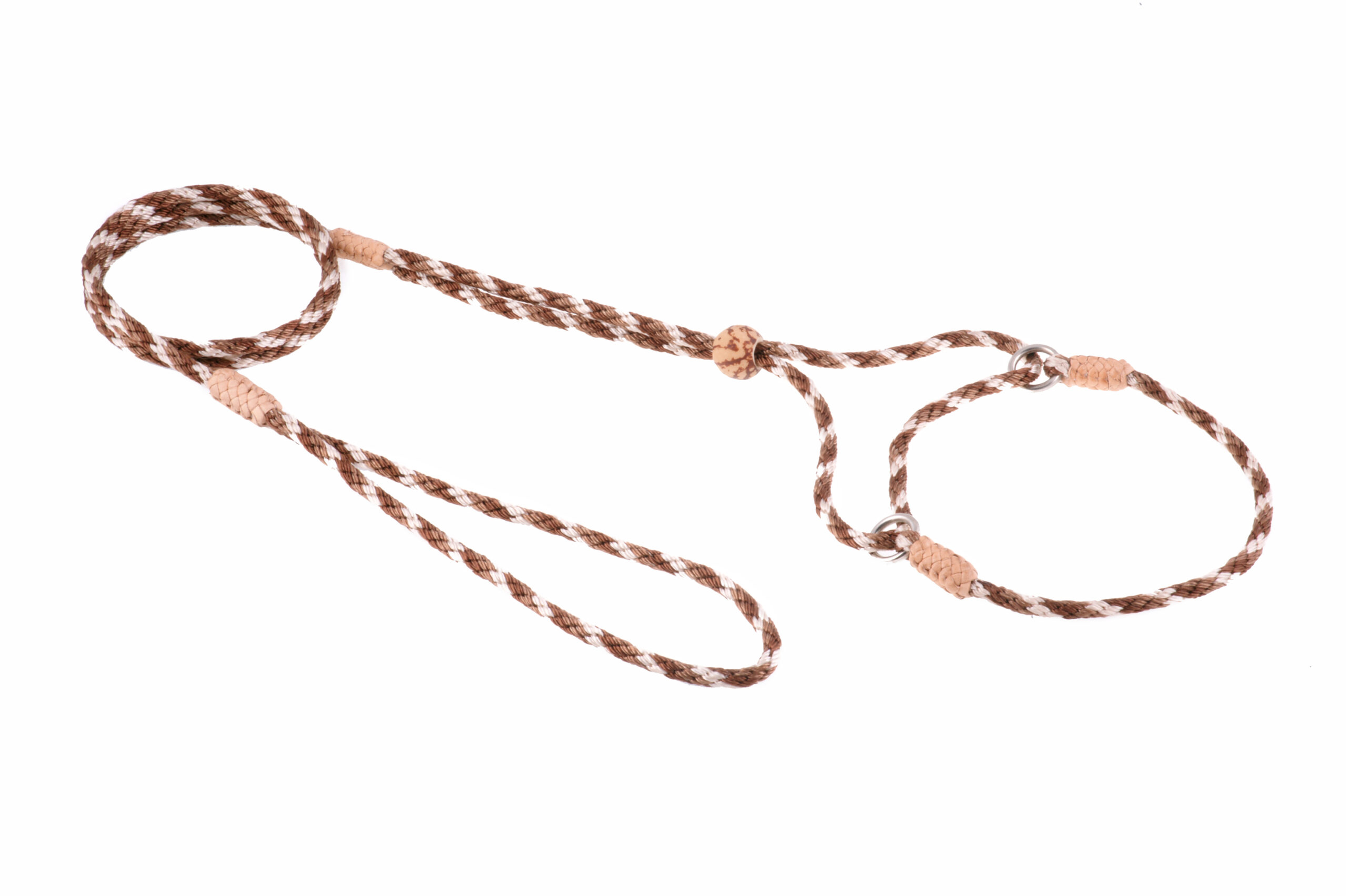 Nylon Martingale Leads (8in x 1/8in or 4mm) Image 1
