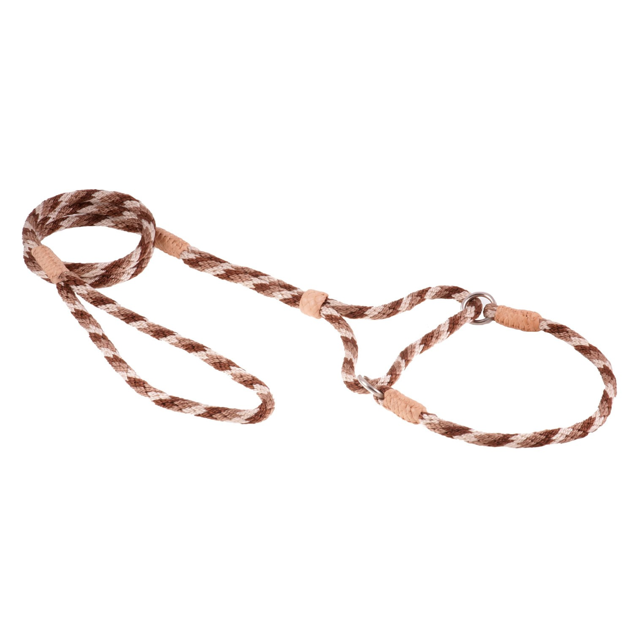 Nylon Martingale Leads (10in x 1/4in or 6mm) Image 1