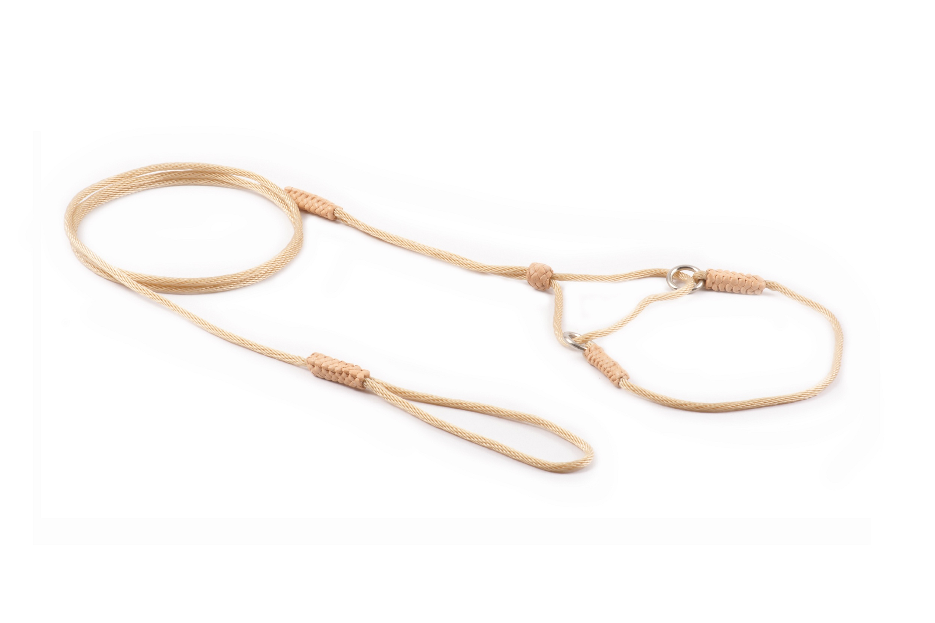 Nylon Martingale Leads (8in x 1/16 or 2 mm) Image 1