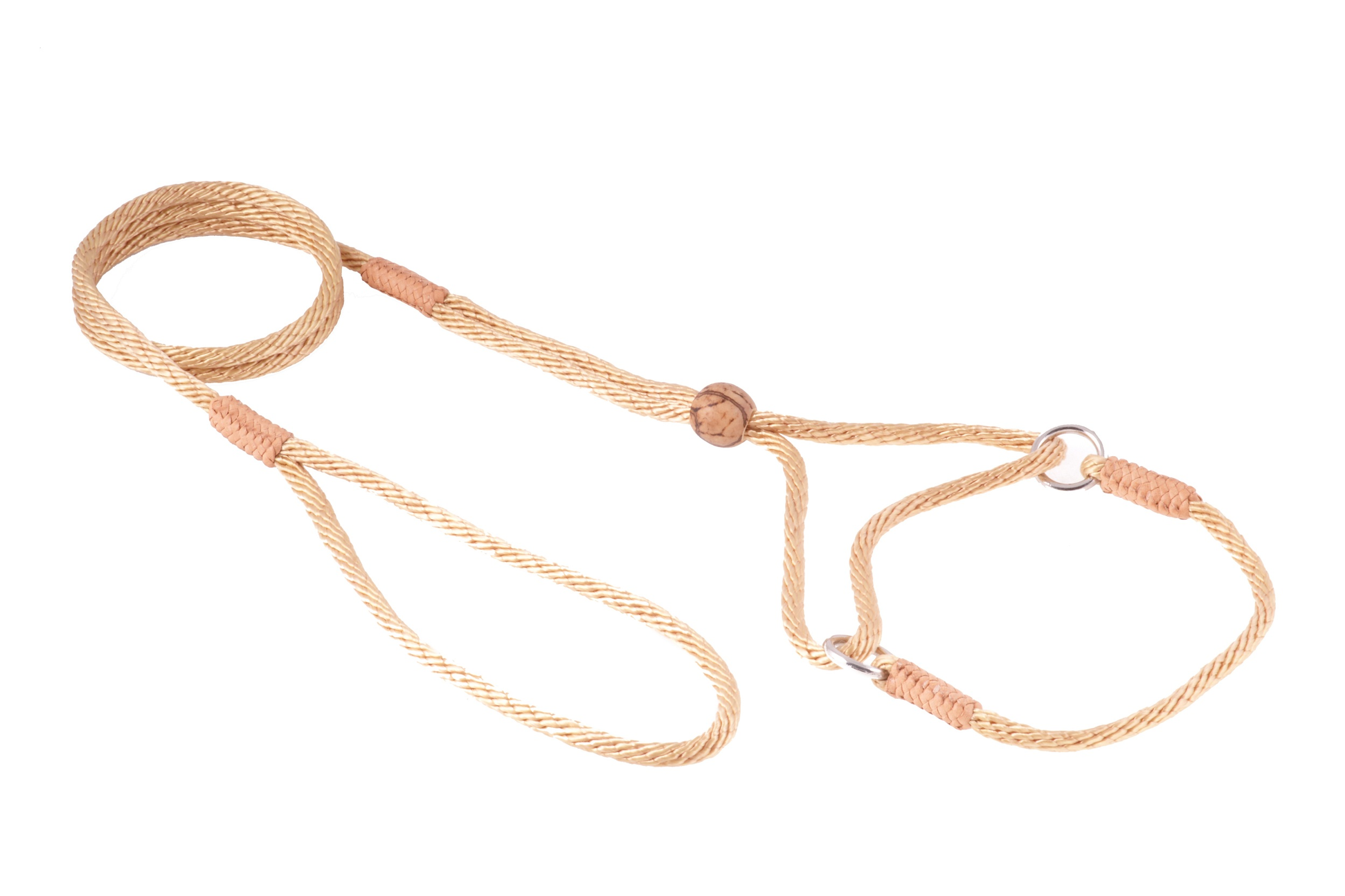 Nylon Martingale Leads (8in x 1/8in or 4mm) Image 1