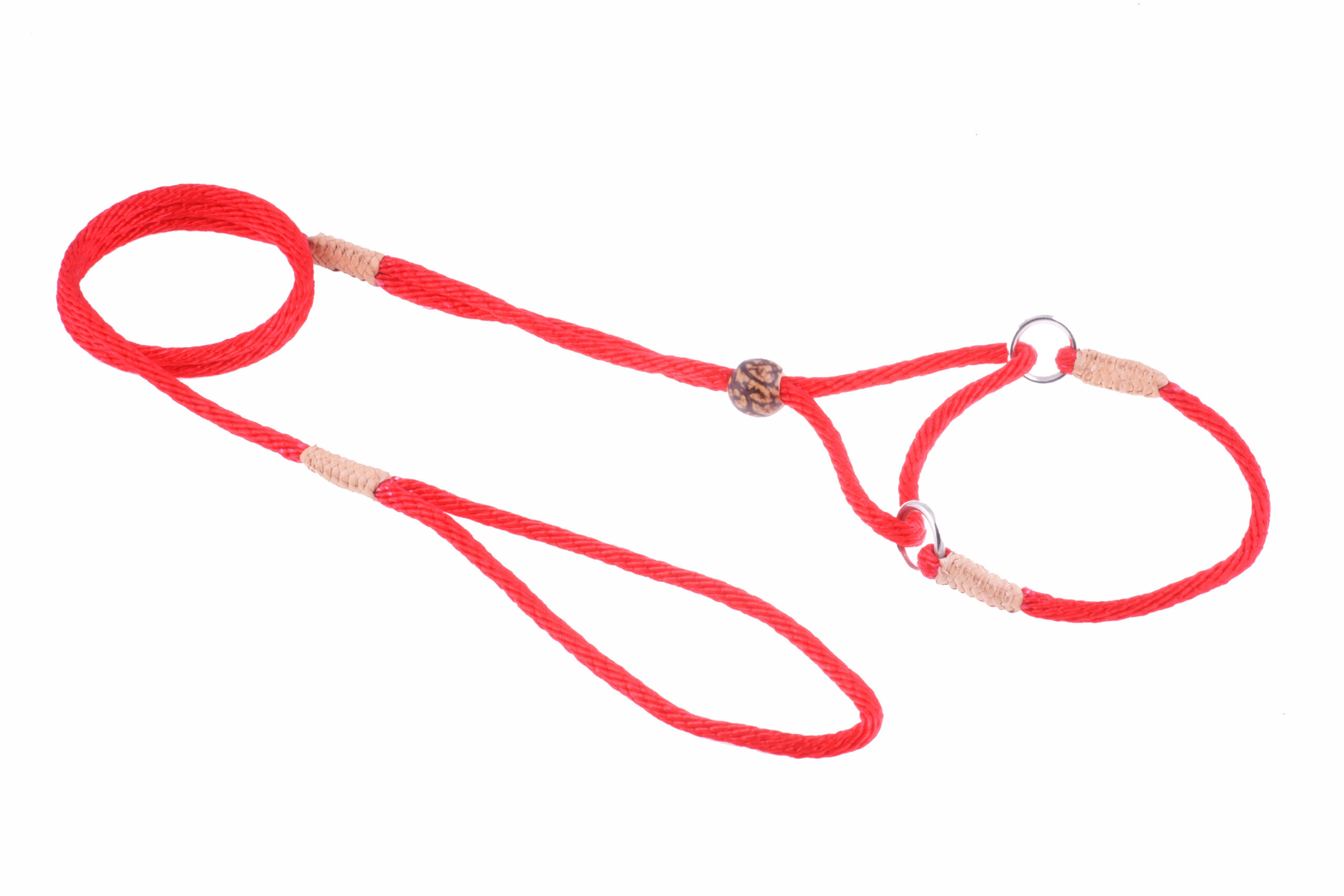 Nylon Martingale Leads (8in x 1/8in or 4mm) Image 1