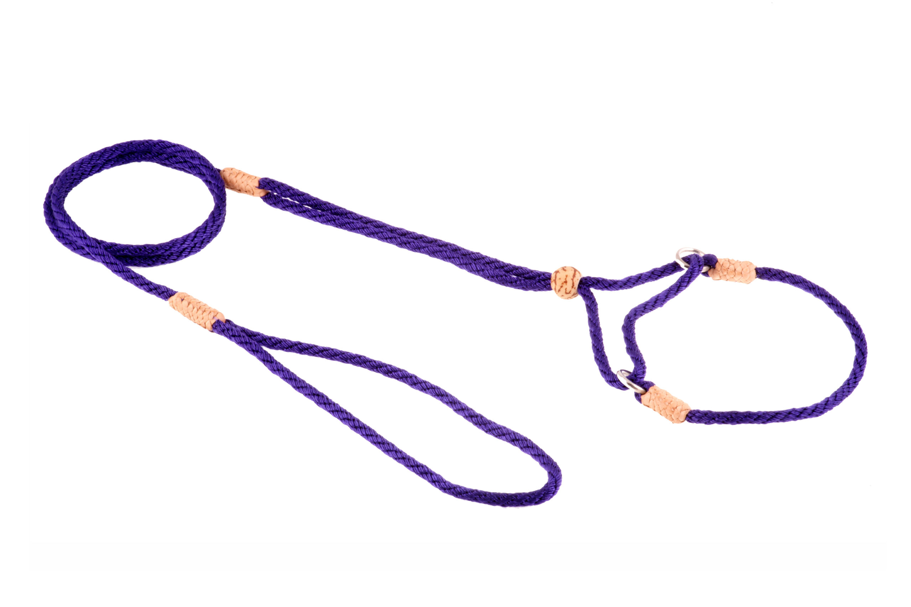 Nylon Martingale Leads (8in x 1/8in or 4mm) Image 1