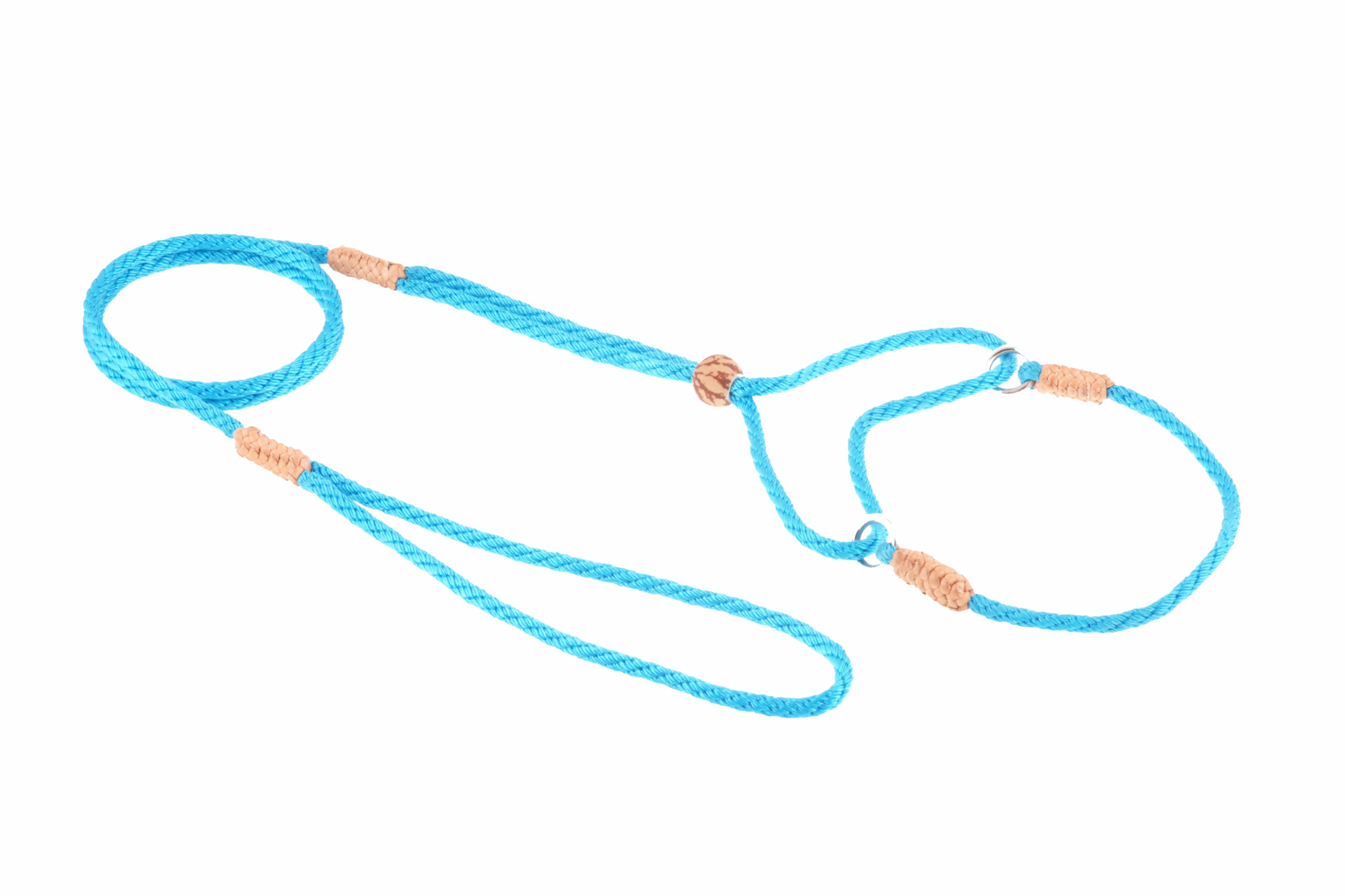 Nylon Martingale Leads (8in x 1/8in or 4mm) Image 1