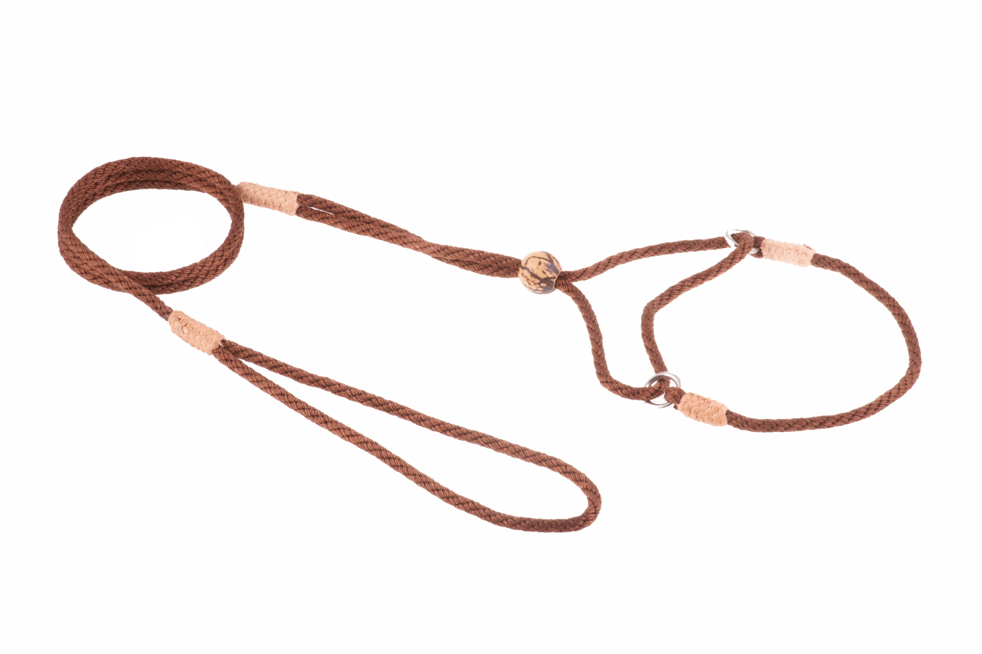 Nylon Martingale Leads (8in x 1/8in or 4mm) Image 1