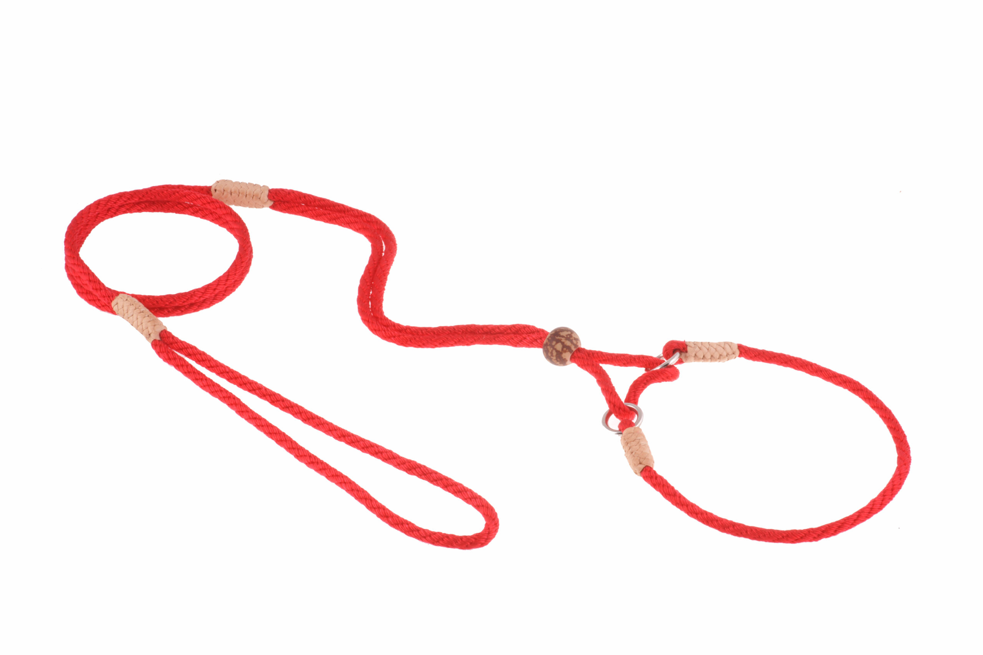 Nylon Martingale Leads (10in x 1/8in or 4mm) Image 1