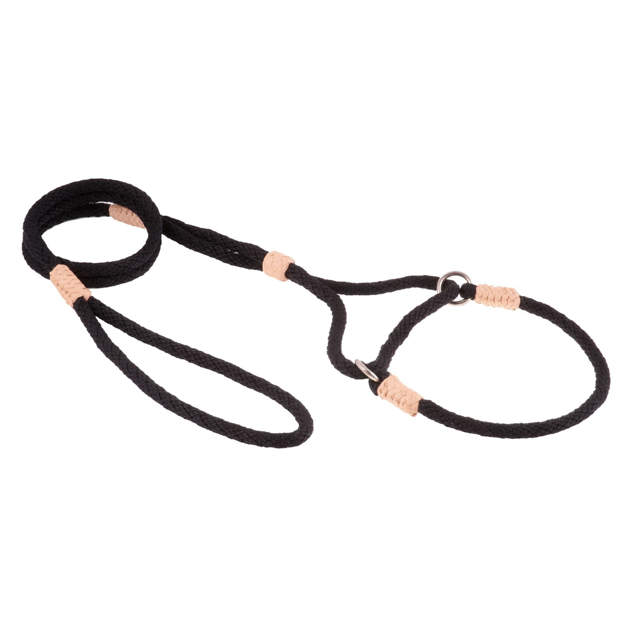 Nylon Martingale Leads (10in x 1/4in or 6mm) Image 1