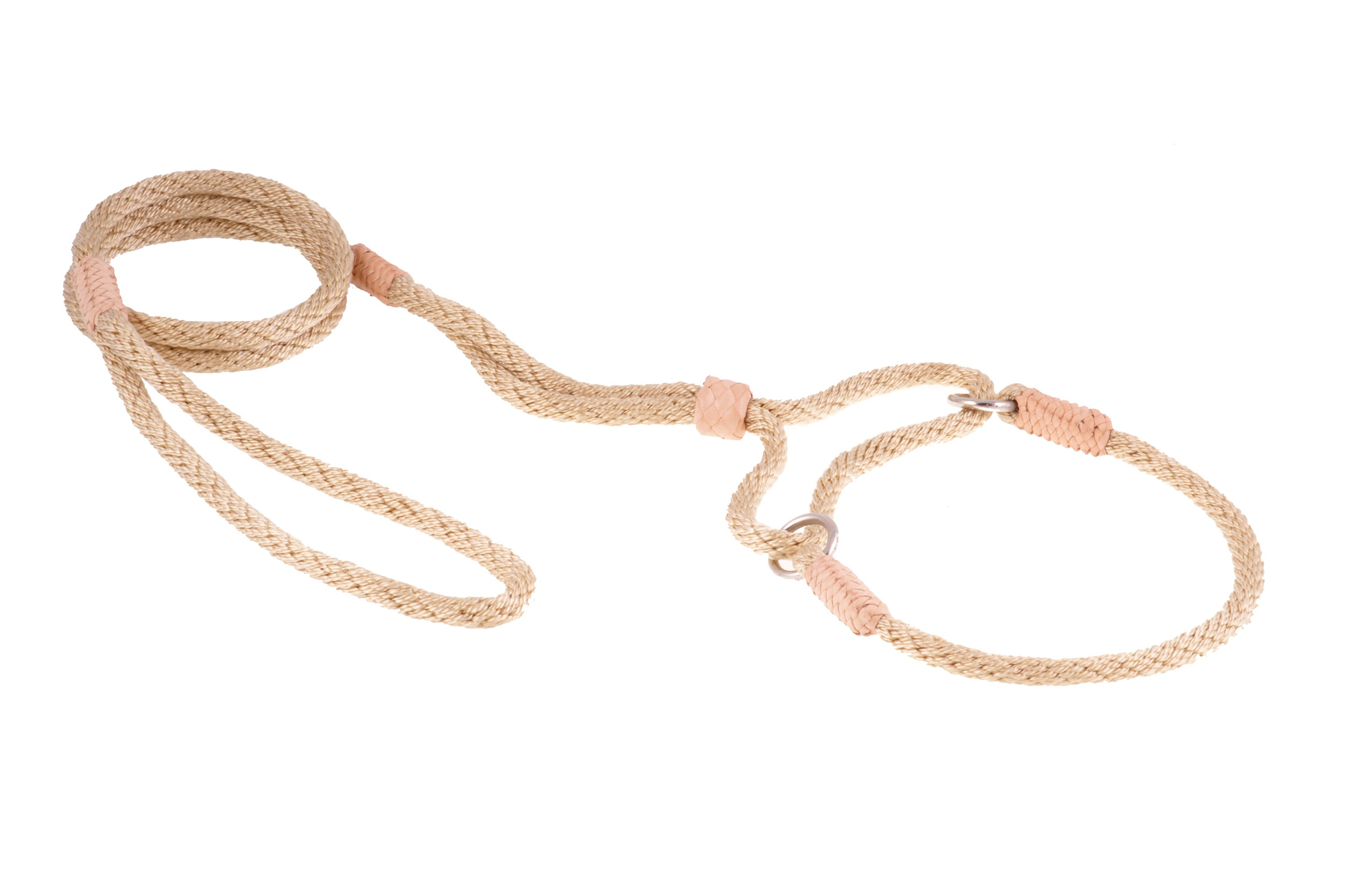 Nylon Martingale Leads (10in x 1/4in or 6mm) Image 1