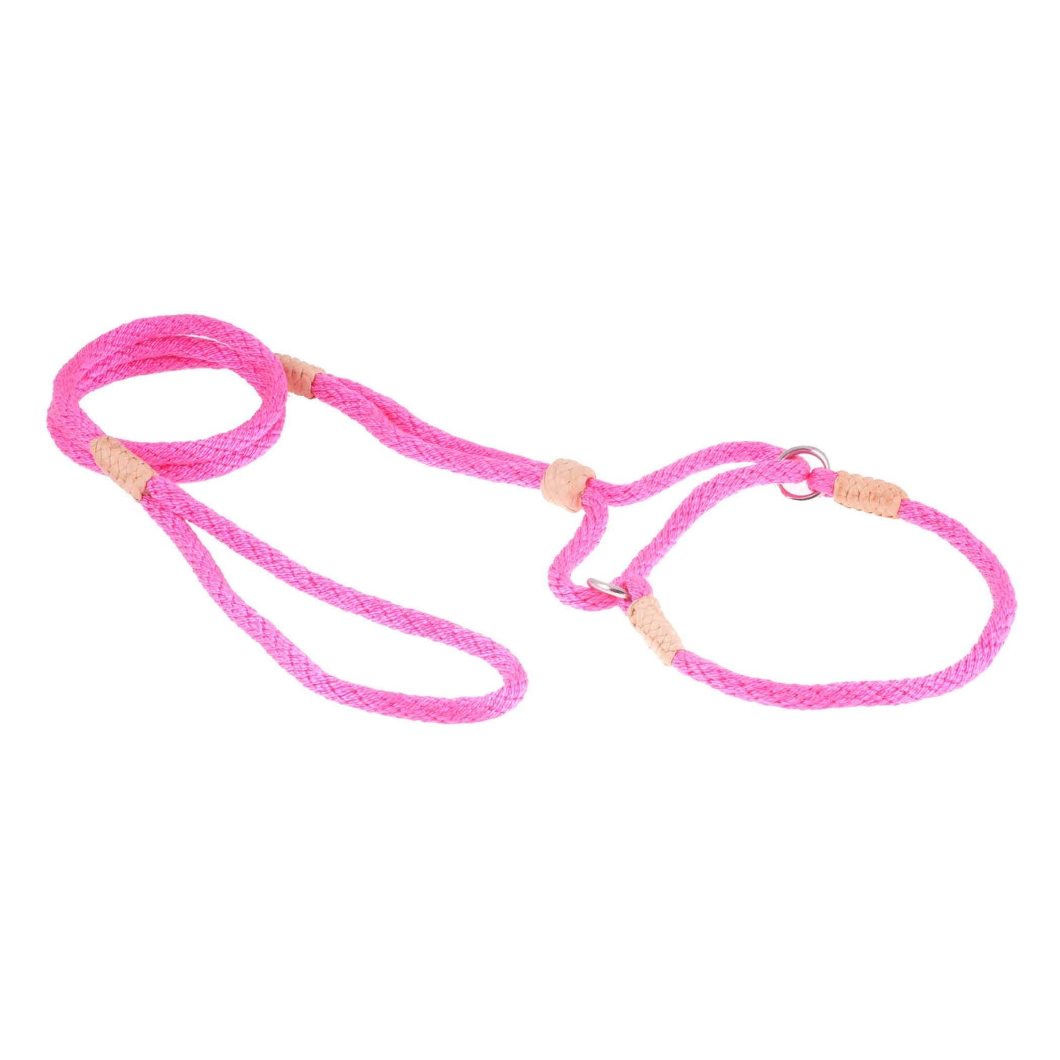 Nylon Martingale Leads (10in x 1/4in or 6mm) Image 1