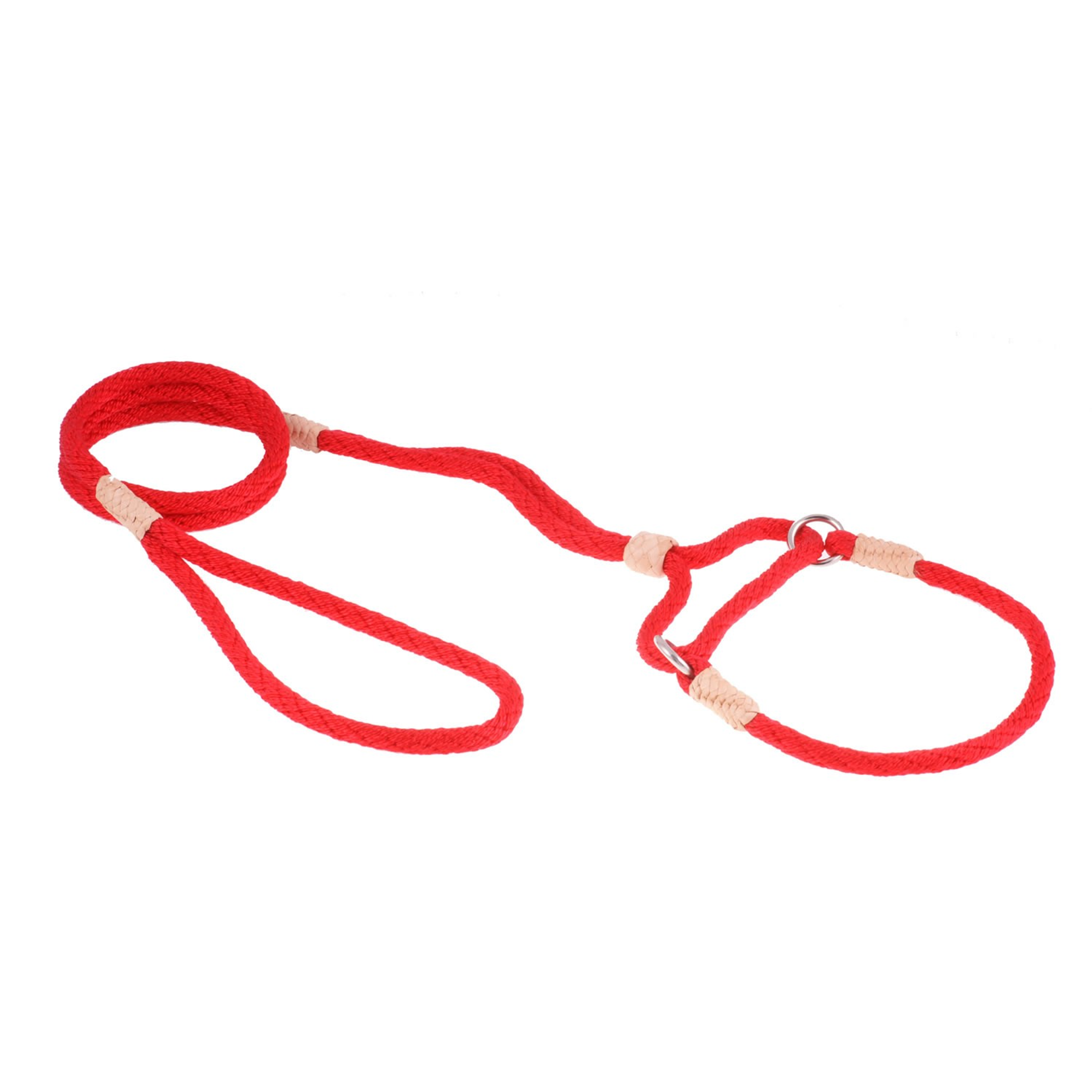 Nylon Martingale Leads (10in x 1/4in or 6mm) Image 1