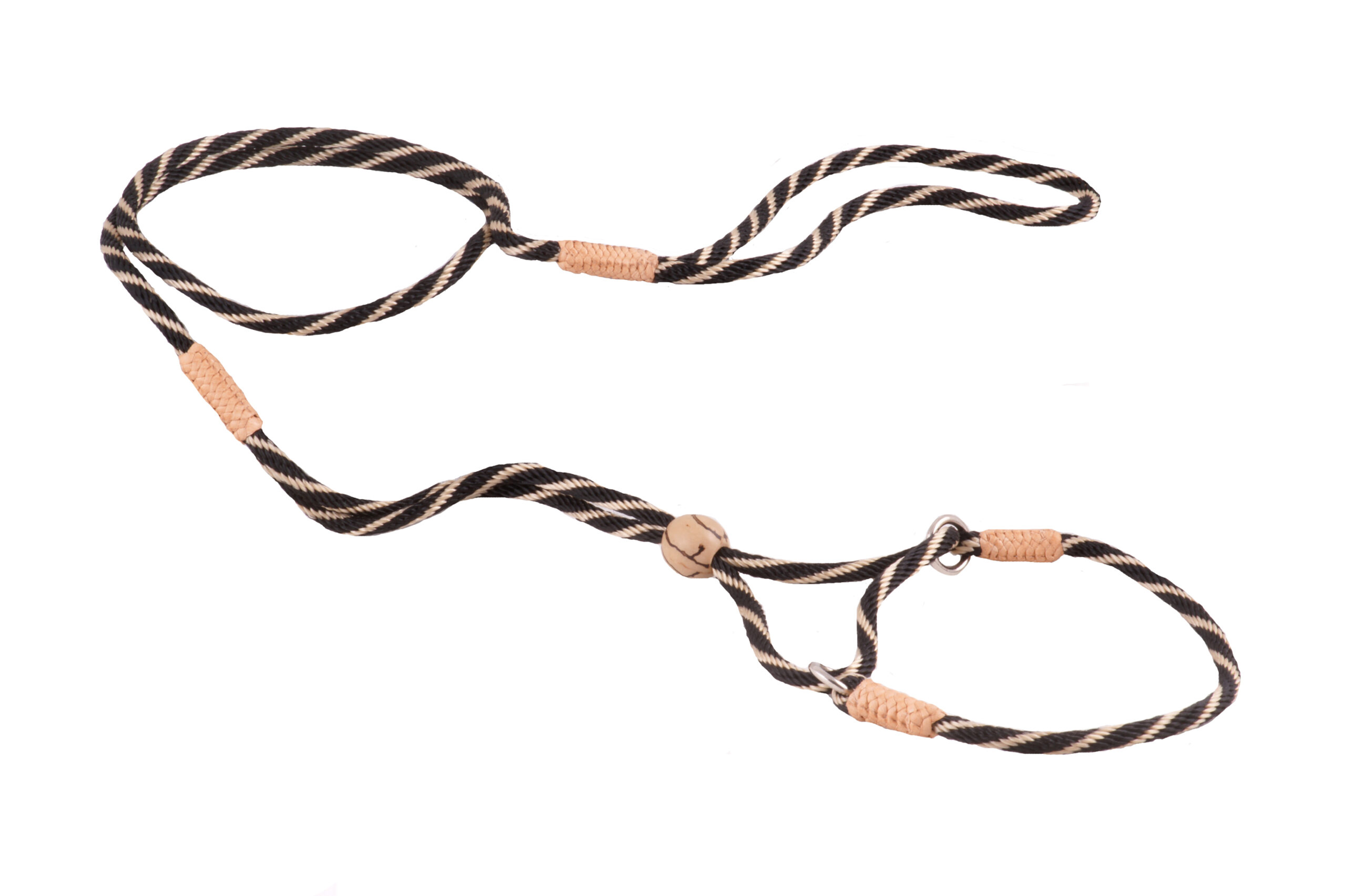 Nylon Martingale Leads (8in x 1/8in or 4mm) Image 1