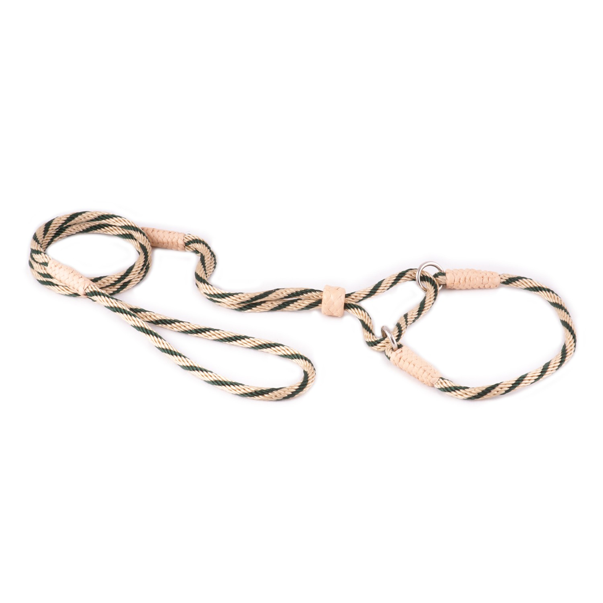 Nylon Martingale Leads (10in x 1/4in or 6mm) Image 1