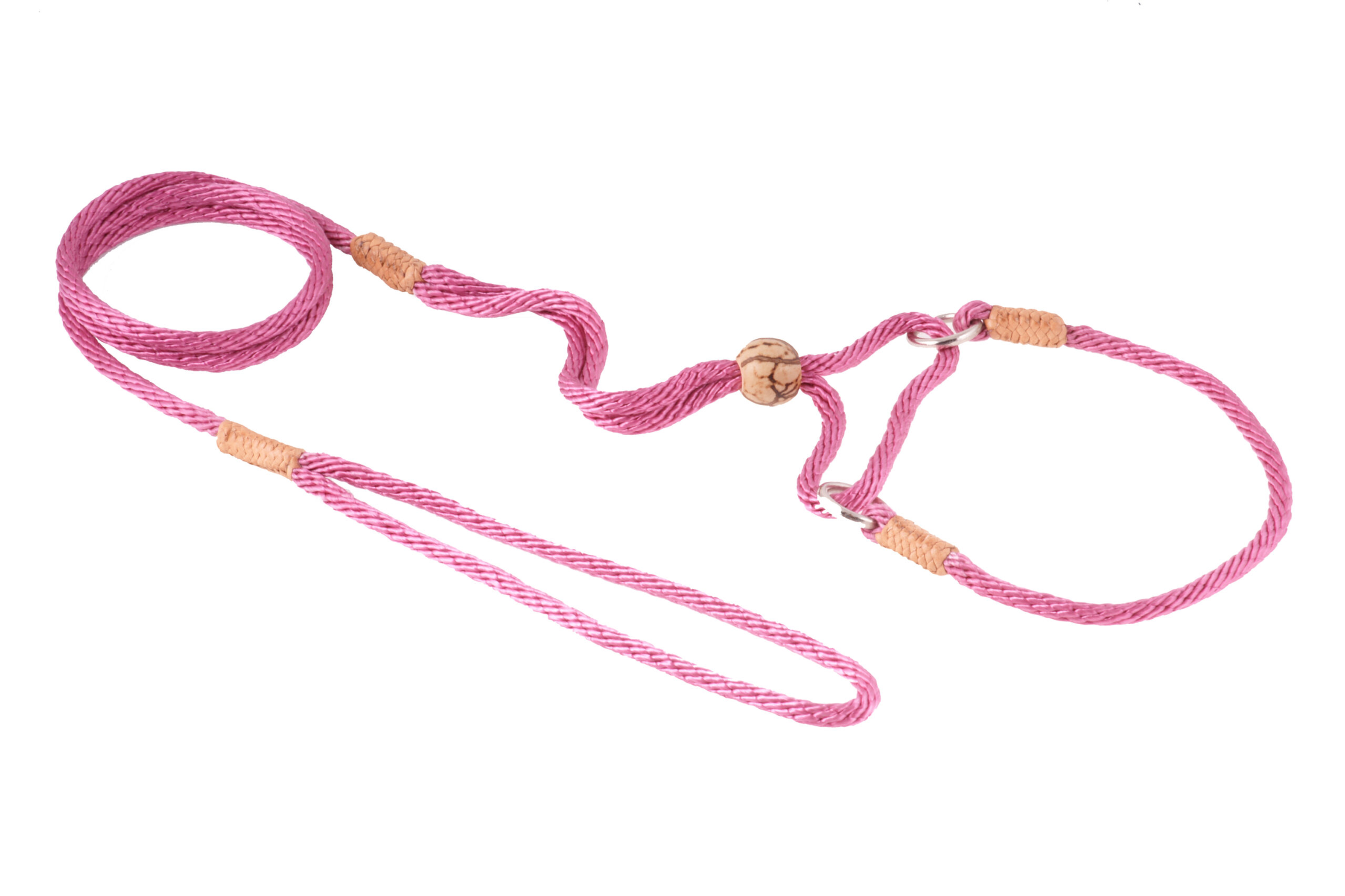 Nylon Martingale Leads (10in x 1/8in or 4mm) Image 1