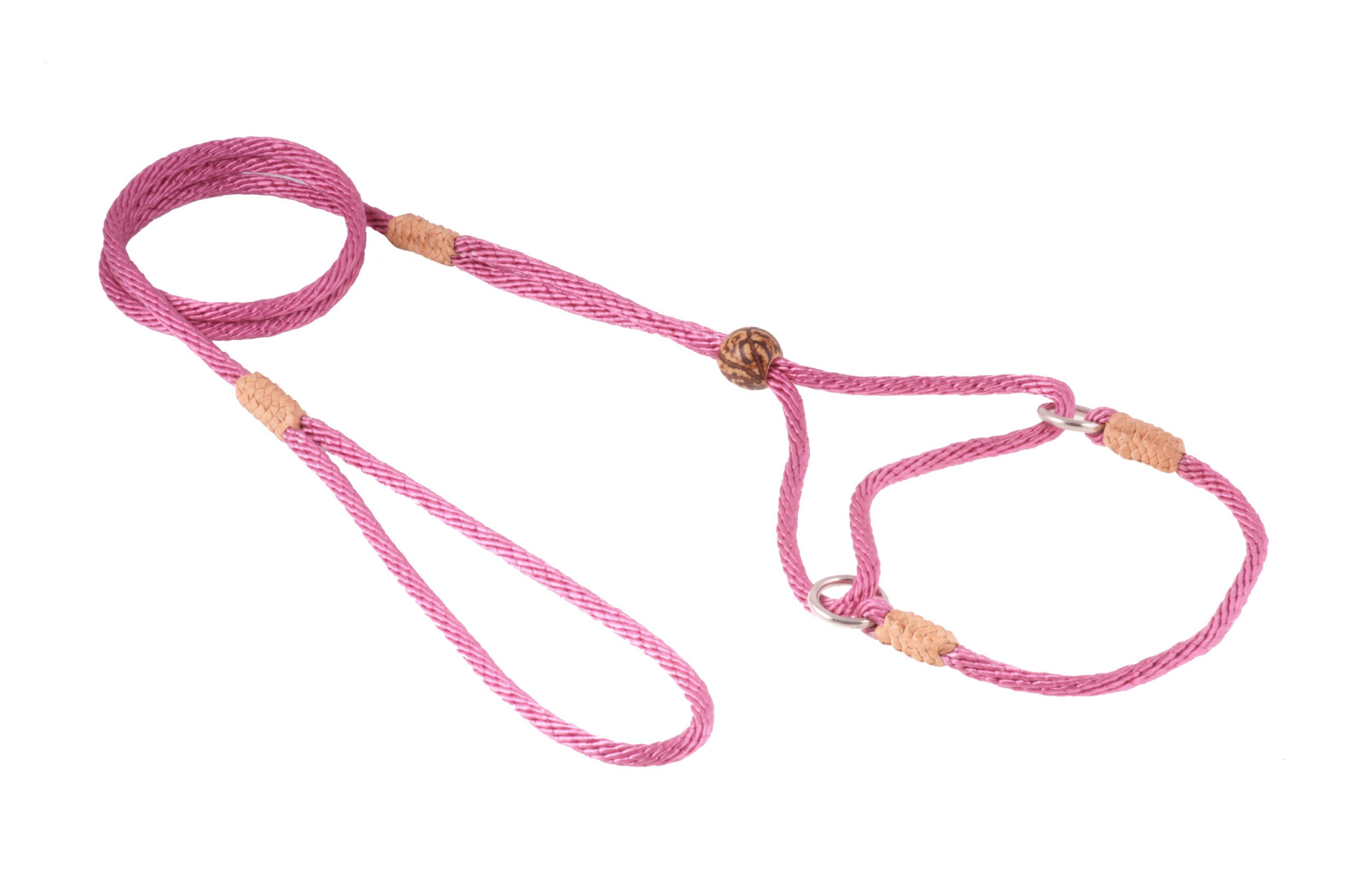 Nylon Martingale Leads (8in x 1/8in or 4mm) Image 1