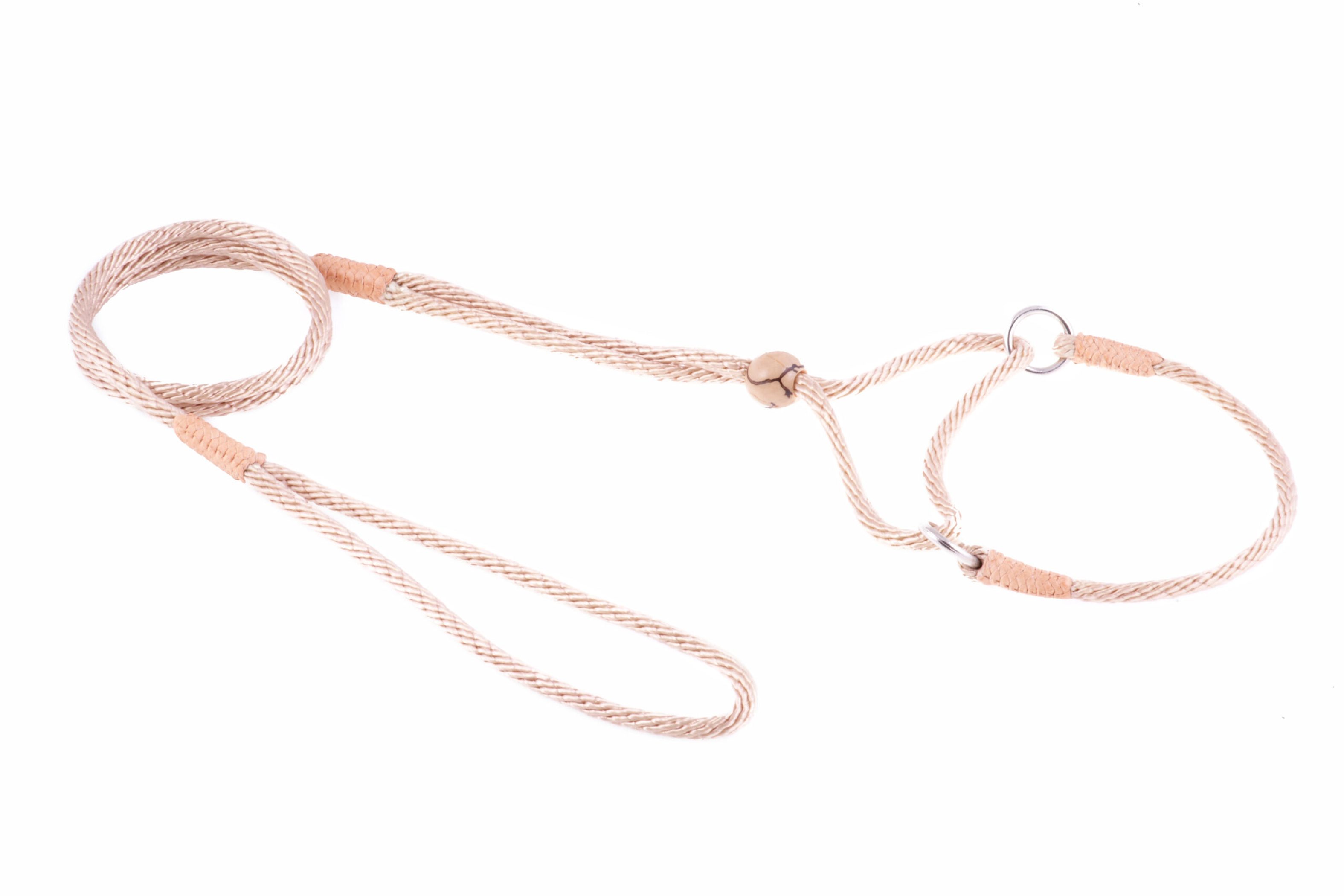 Nylon Martingale Leads (8in x 1/8in or 4mm) Image 1