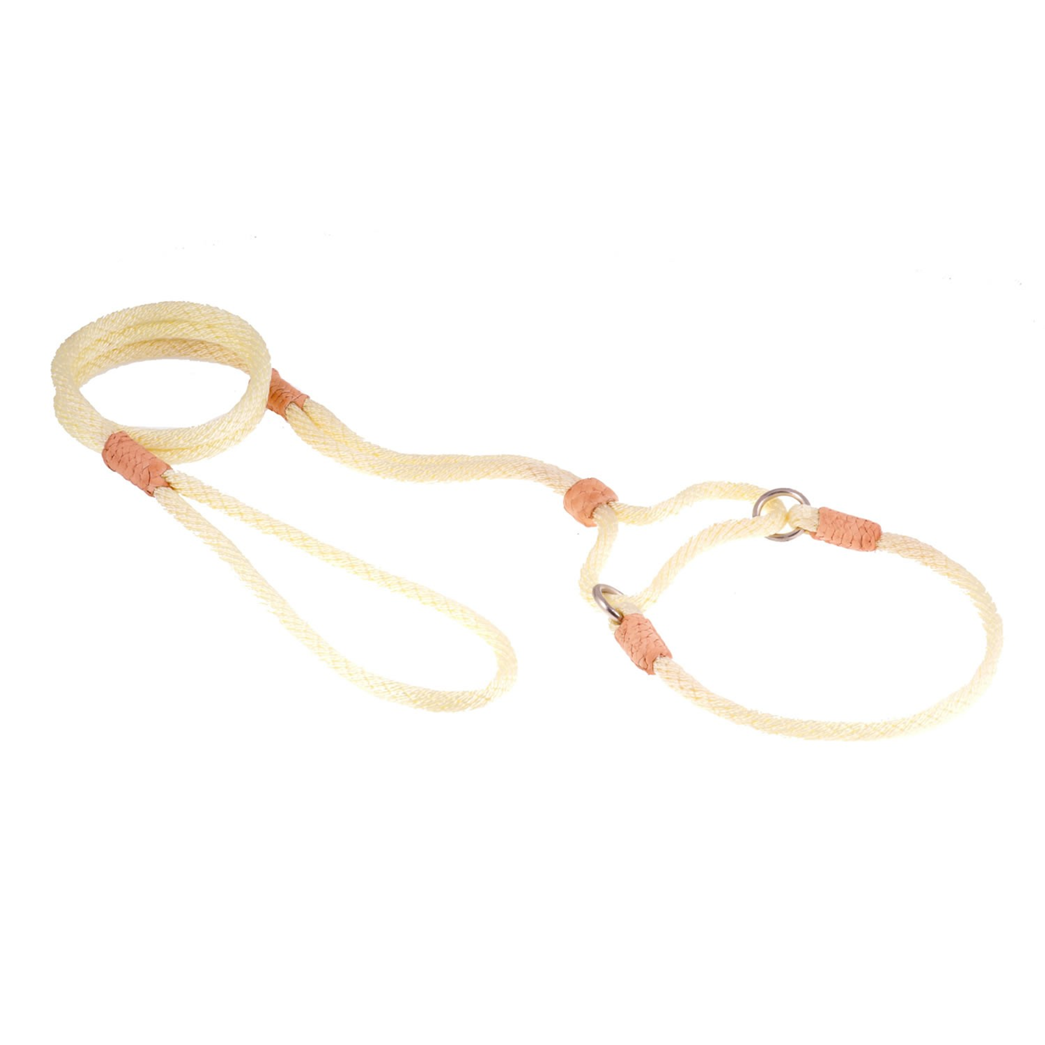 Nylon Martingale Leads (10in x 1/4in or 6mm) Image 1