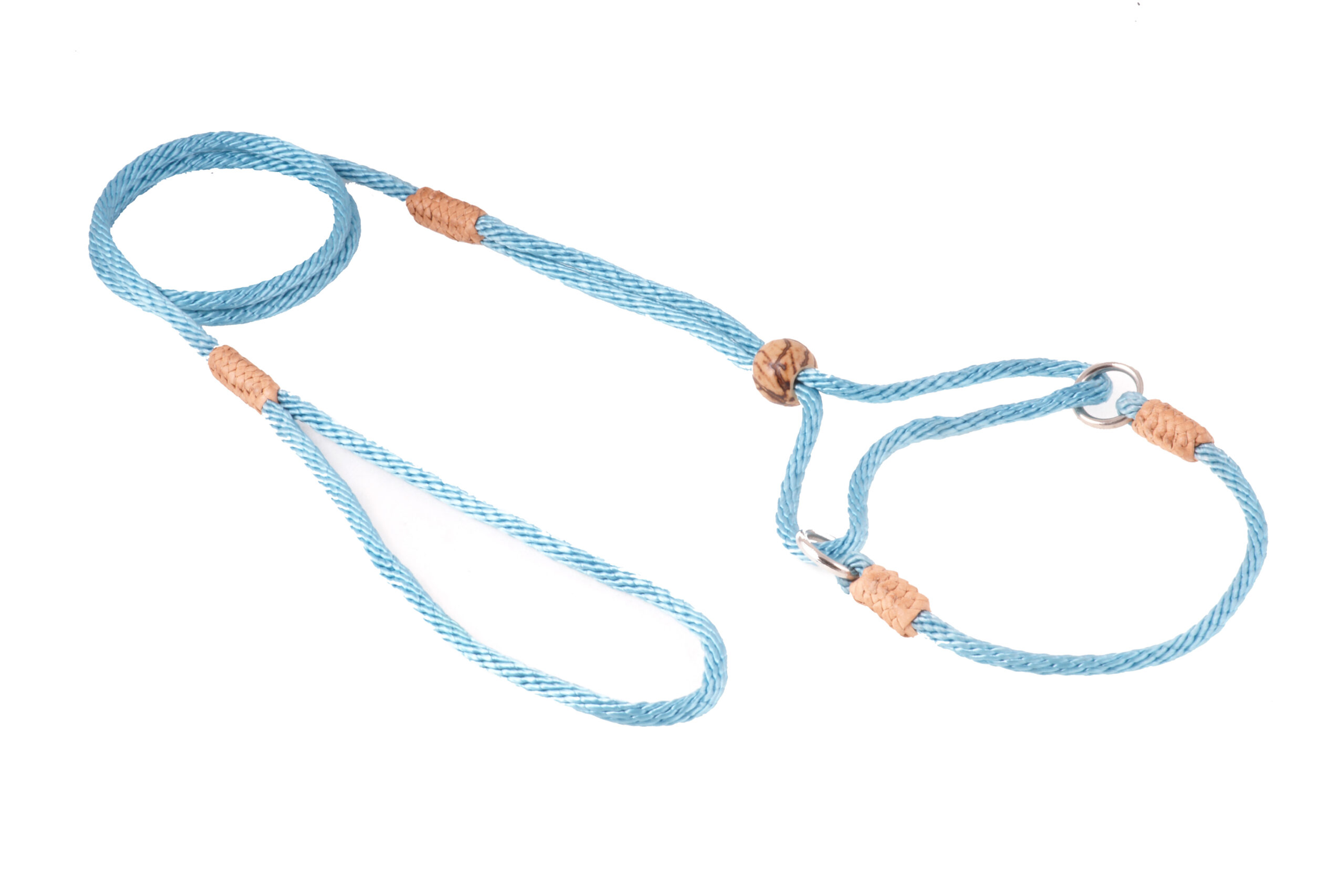 Nylon Martingale Leads (8in x 1/8in or 4mm) Image 1