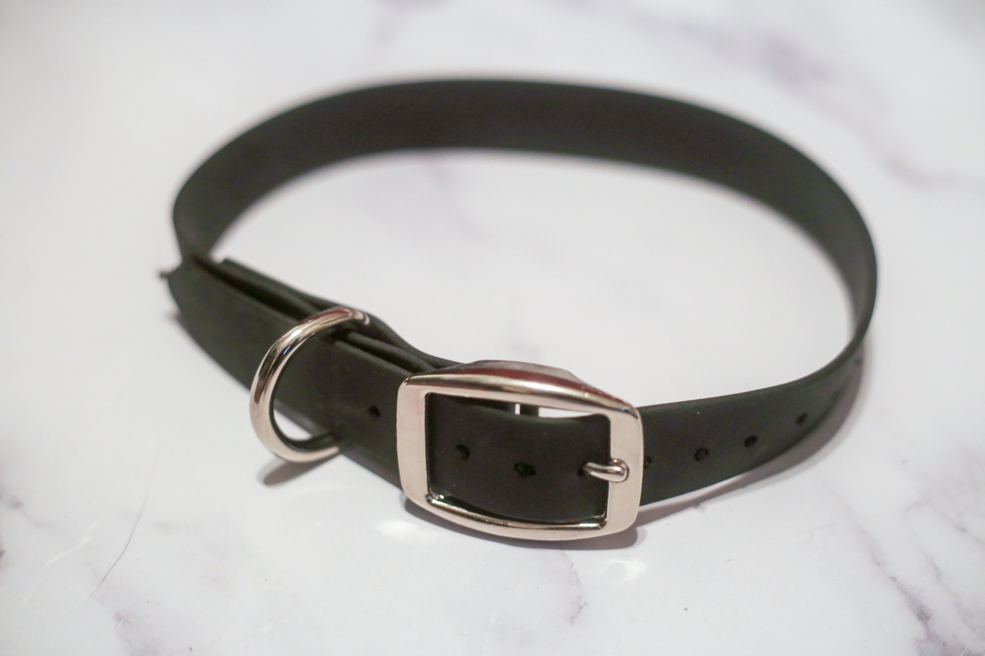 Biothane Buckle Dog Collar Image 1