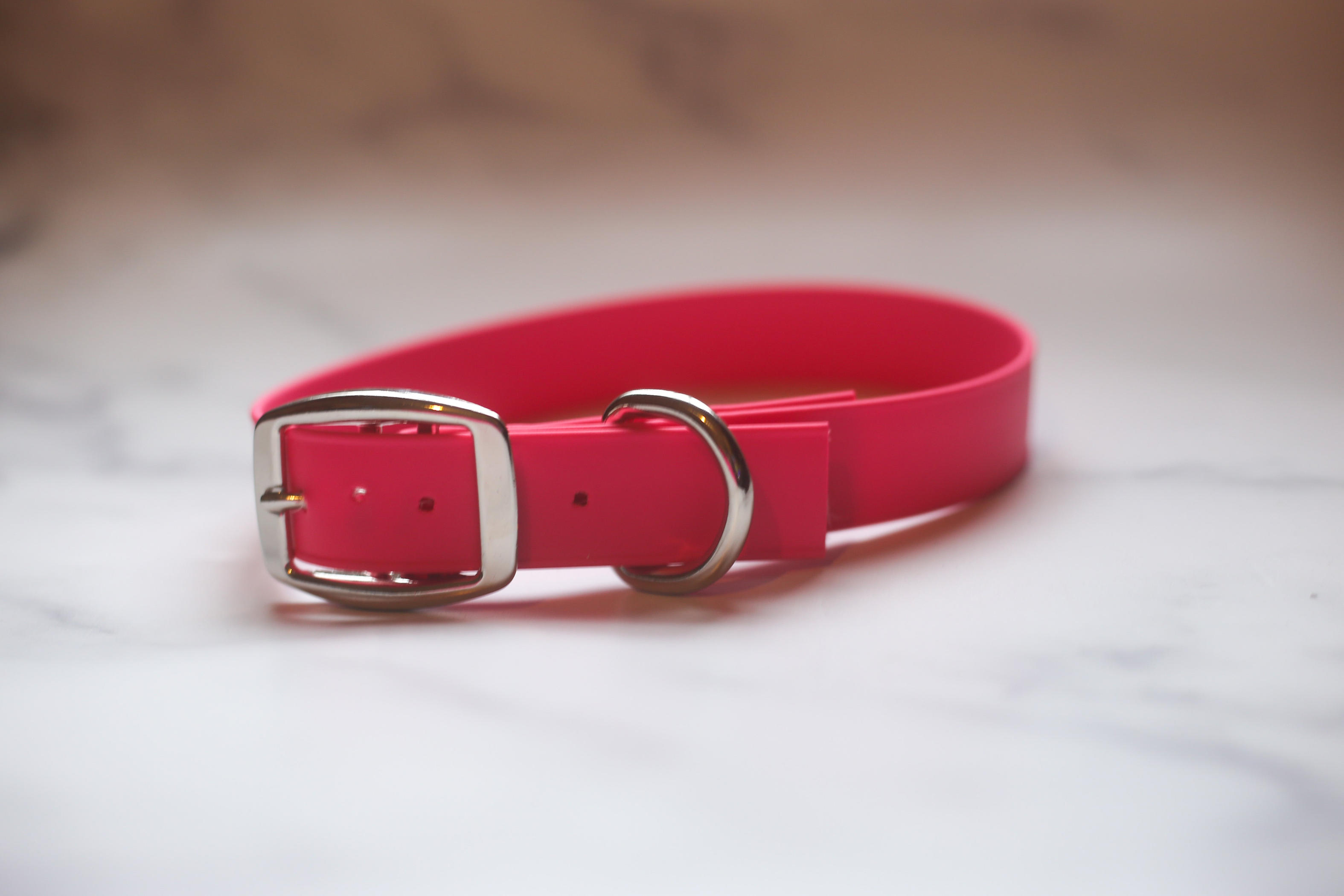 Biothane Buckle Dog Collar Image 1