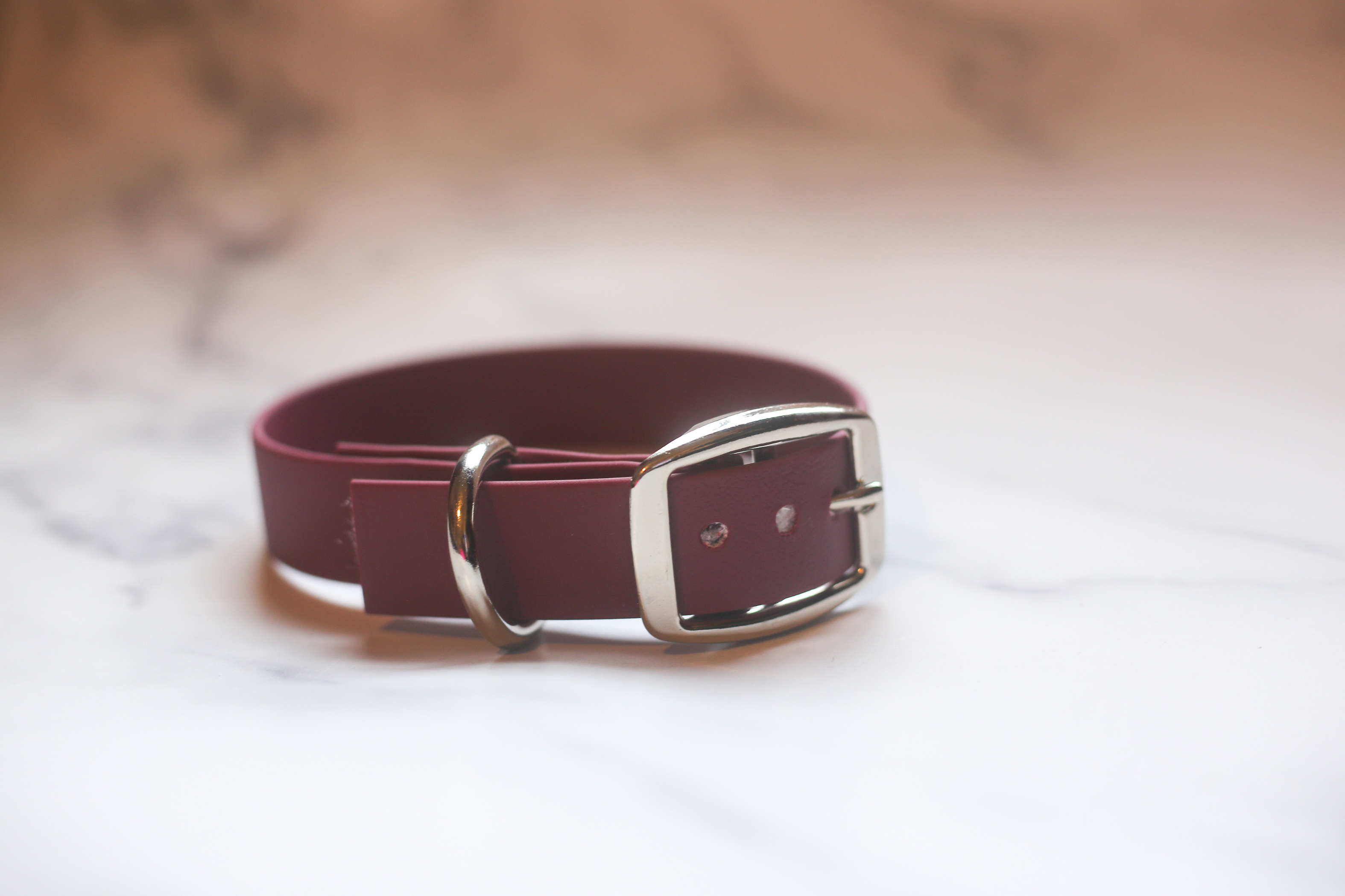 Biothane Buckle Dog Collar Image 1