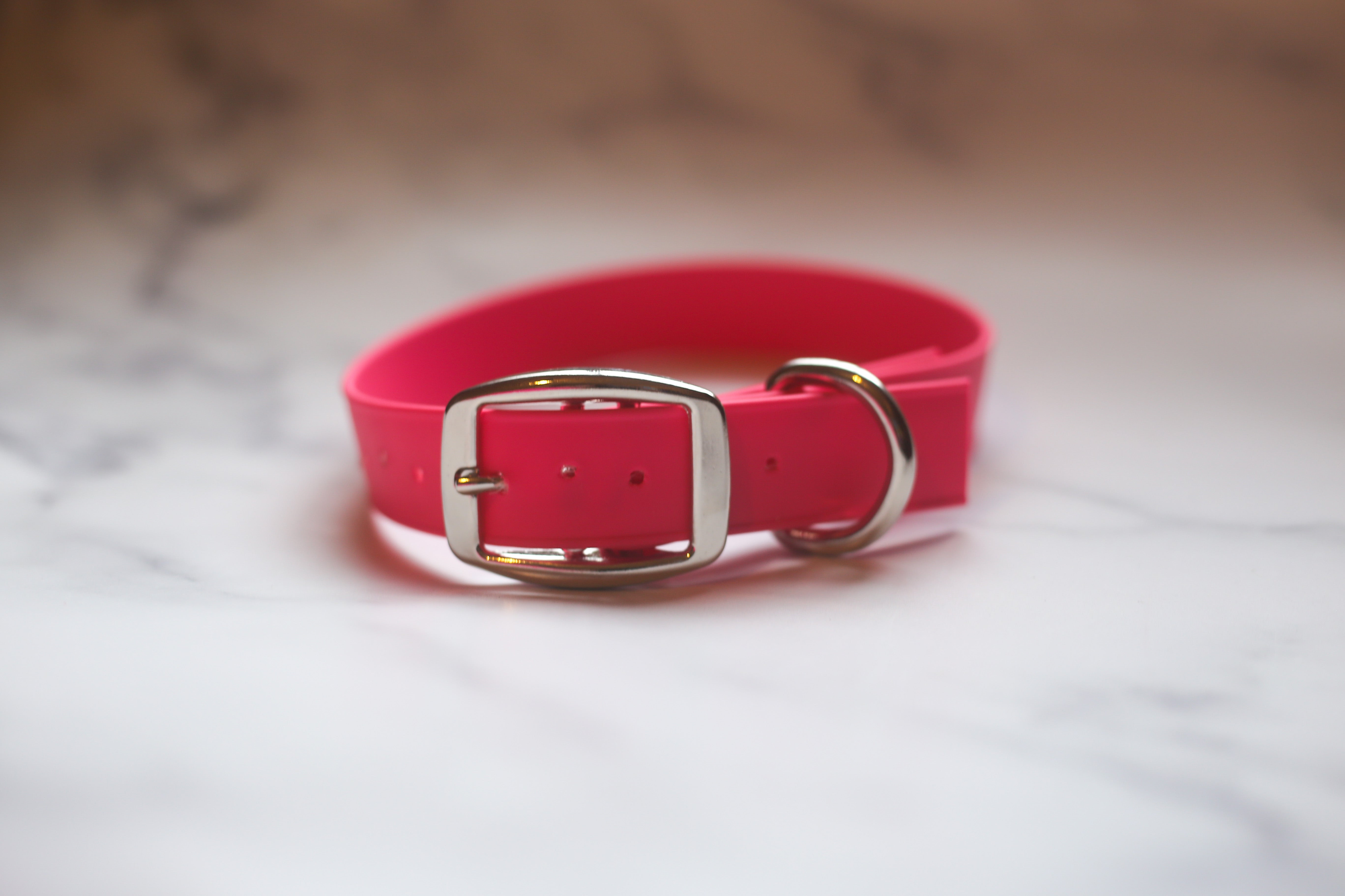 Biothane Buckle Dog Collar Image 1