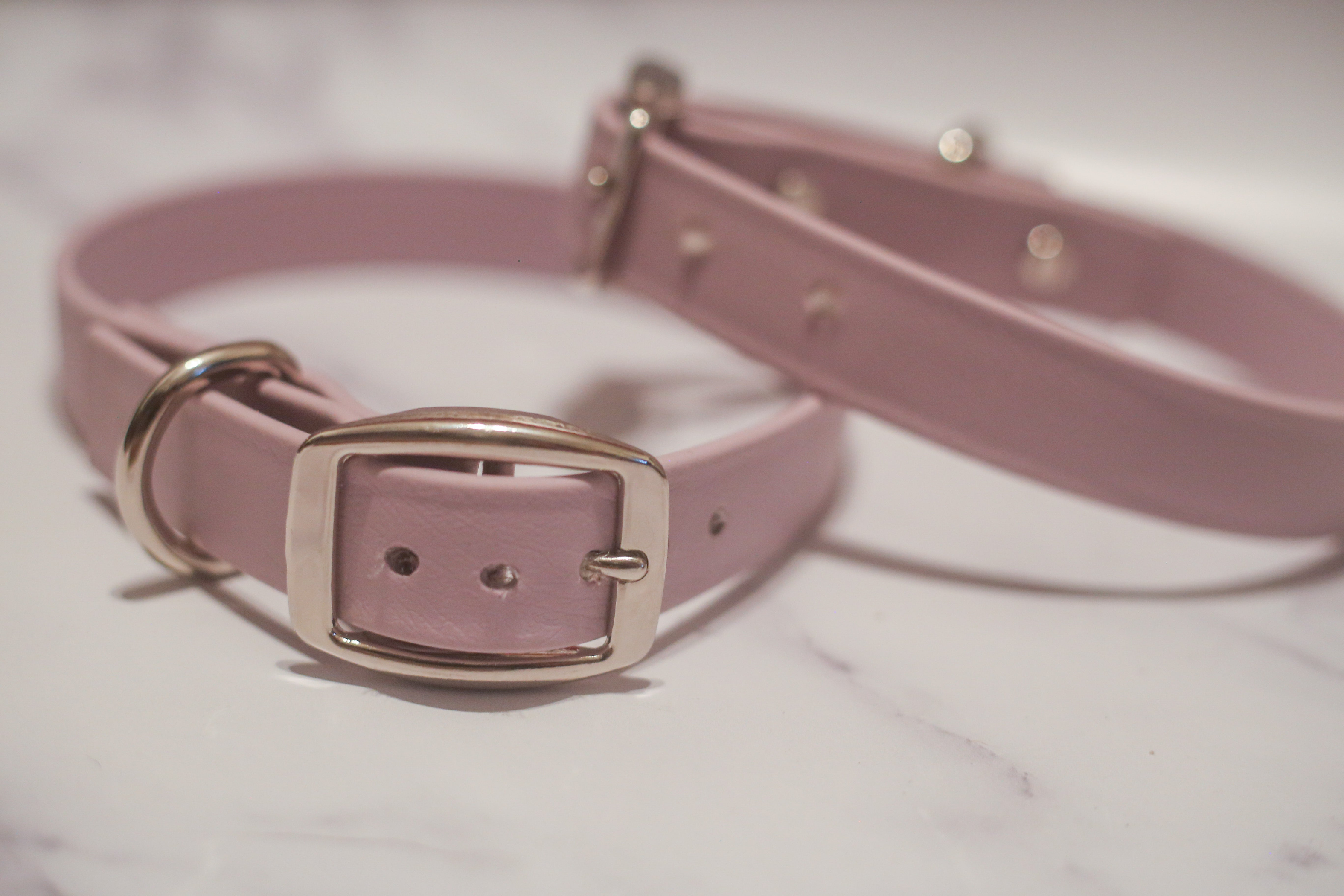 Biothane Buckle Dog Collar Image 1