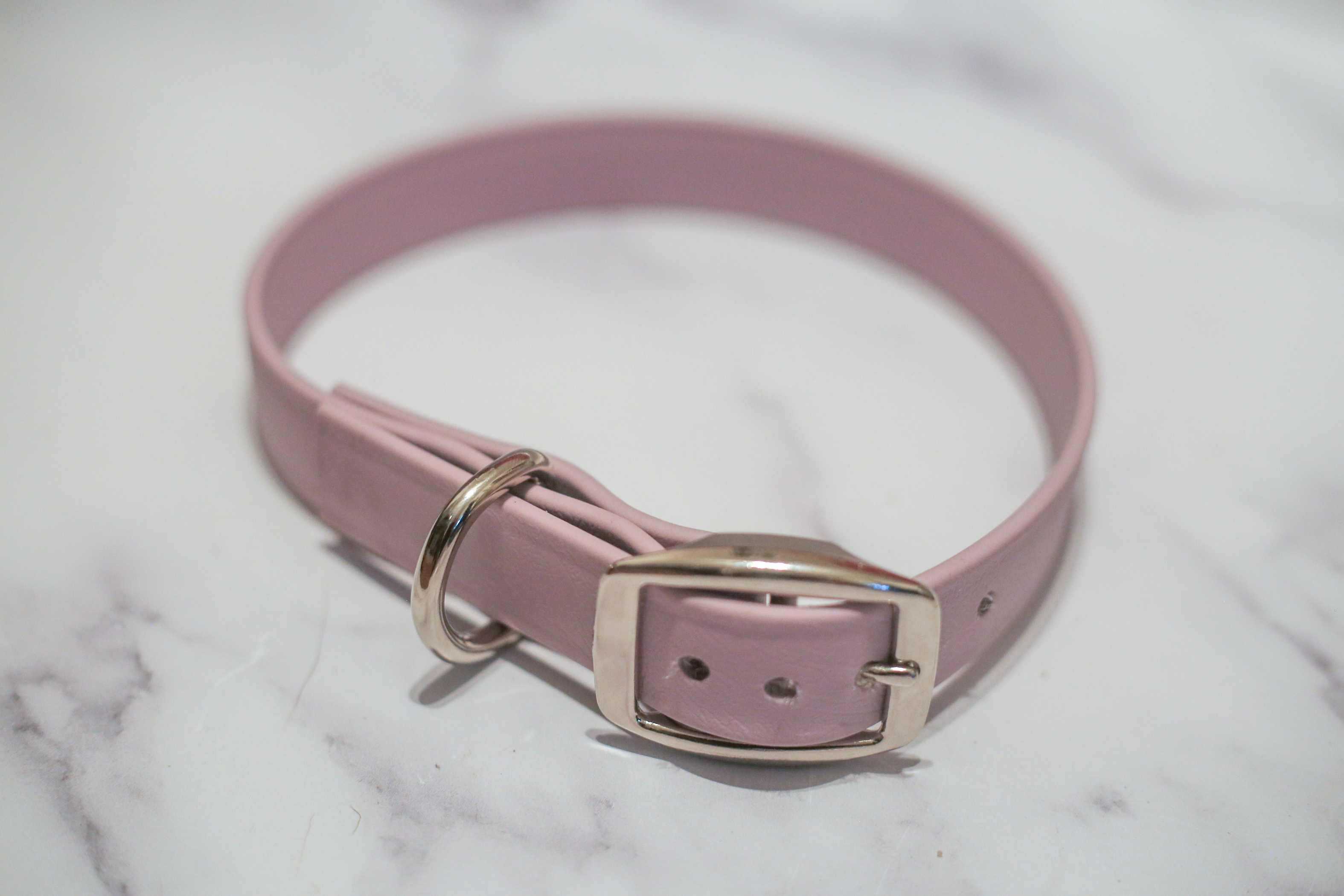 Biothane Buckle Dog Collar Image 1