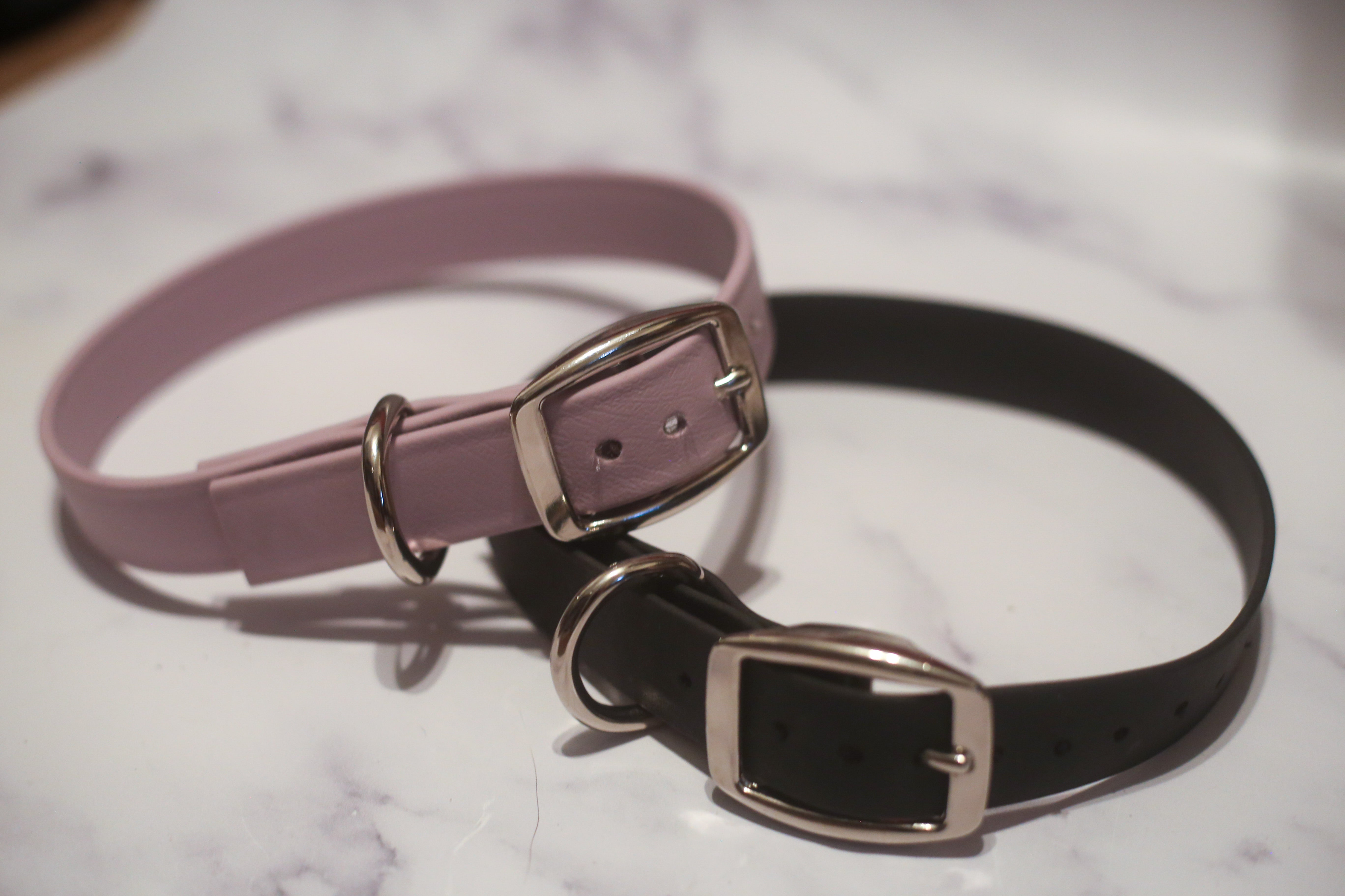 Biothane Buckle Dog Collar Image 1