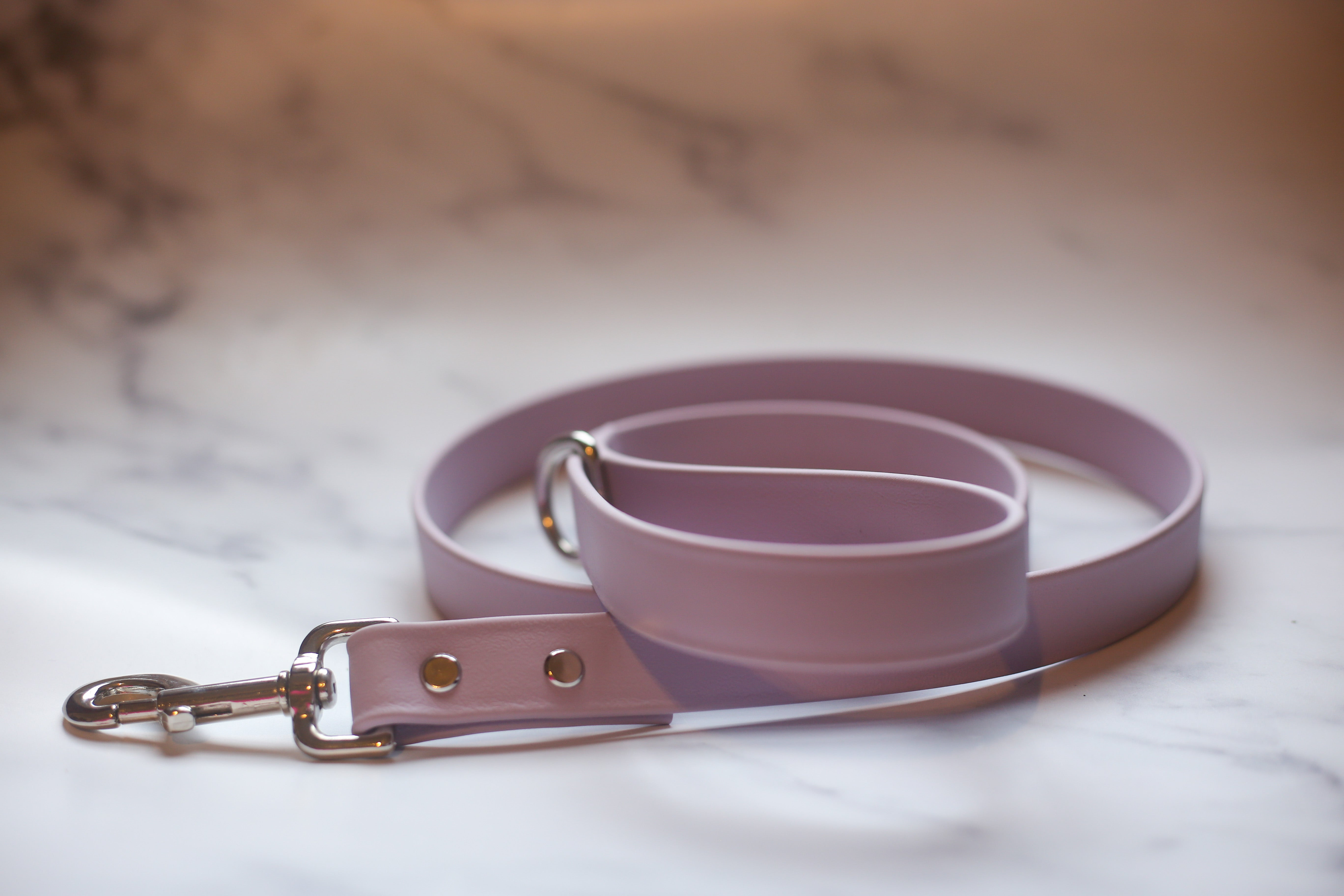 Biothane Leash Image 1