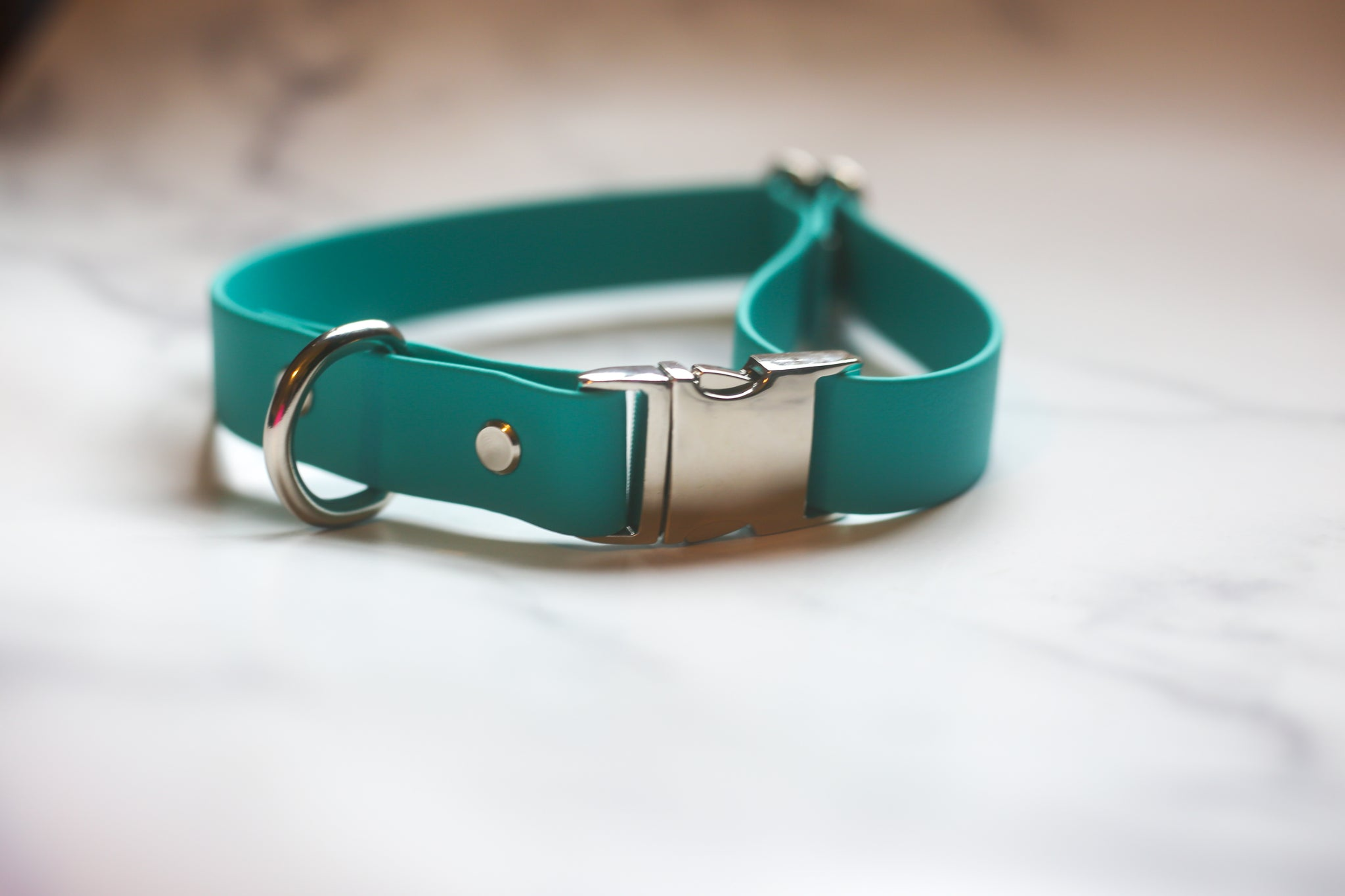 Biothane Quick Release Collar Image 1