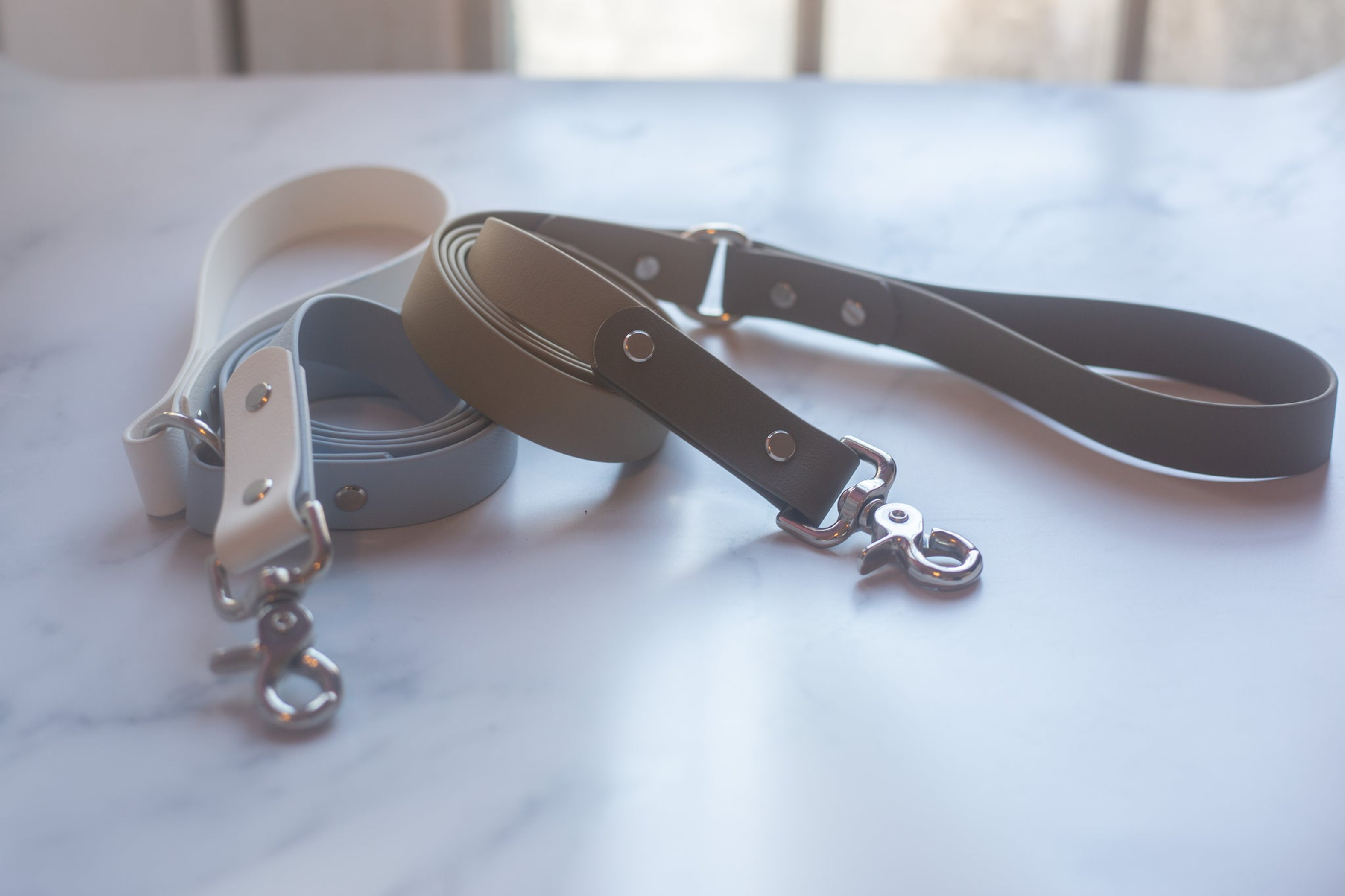 Biothane Leash - Two Toned - Style 2 Image 1