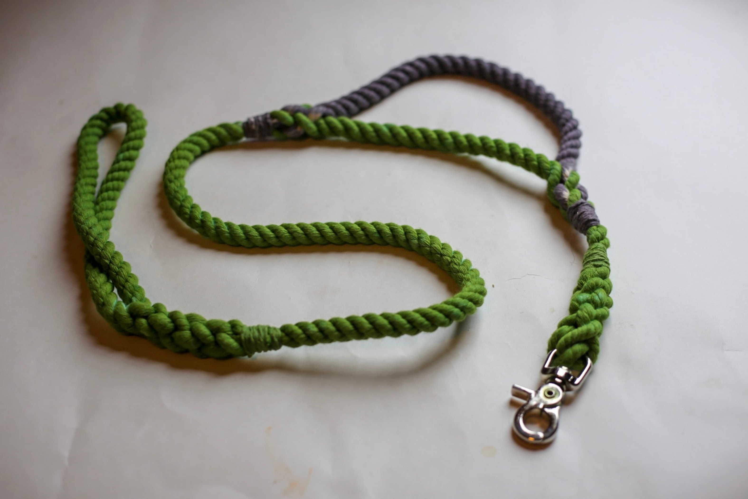 Rope Dog Leash with Traffic Handle Image 1