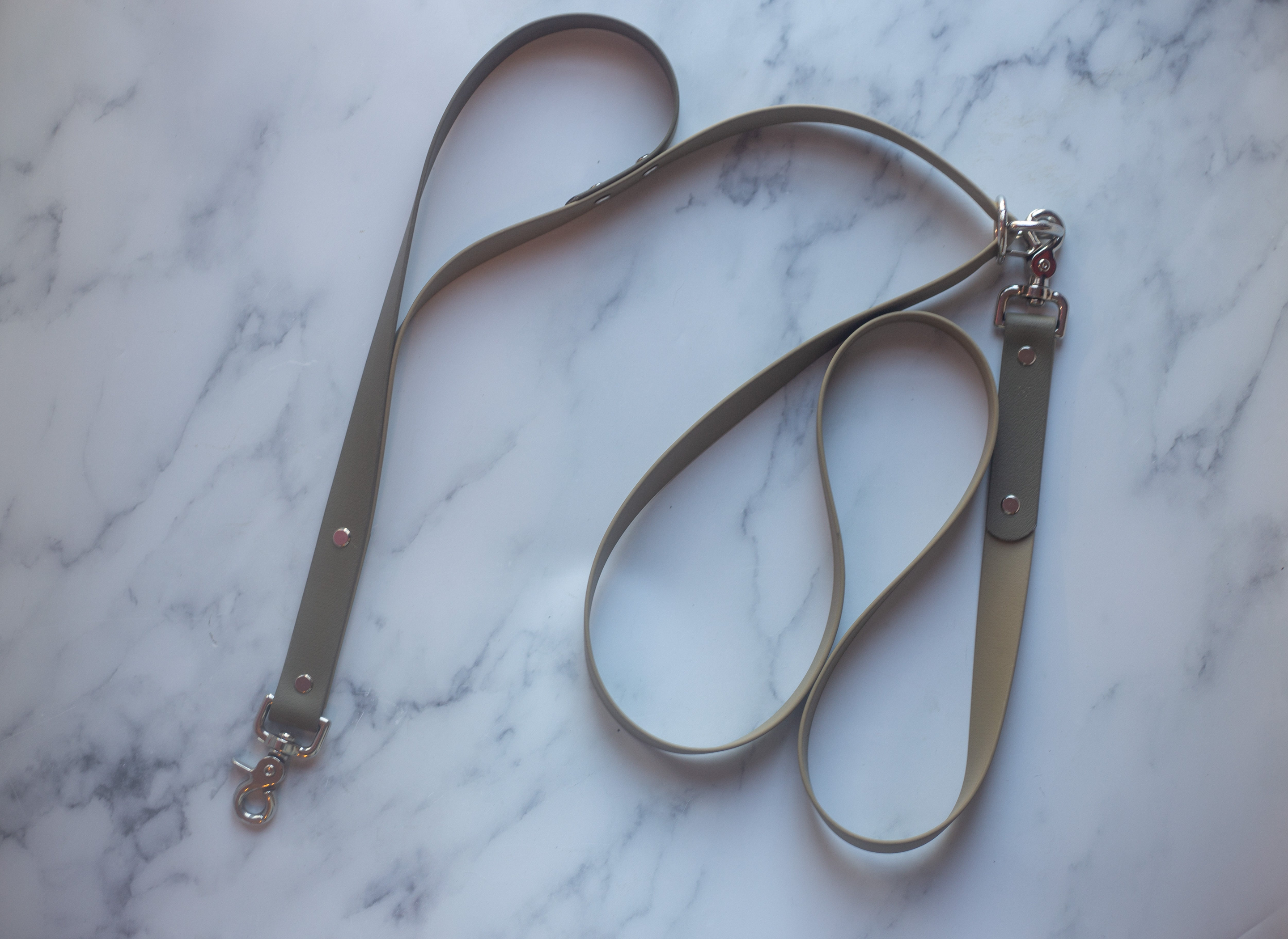 Hands Free Biothane Leash Image 1