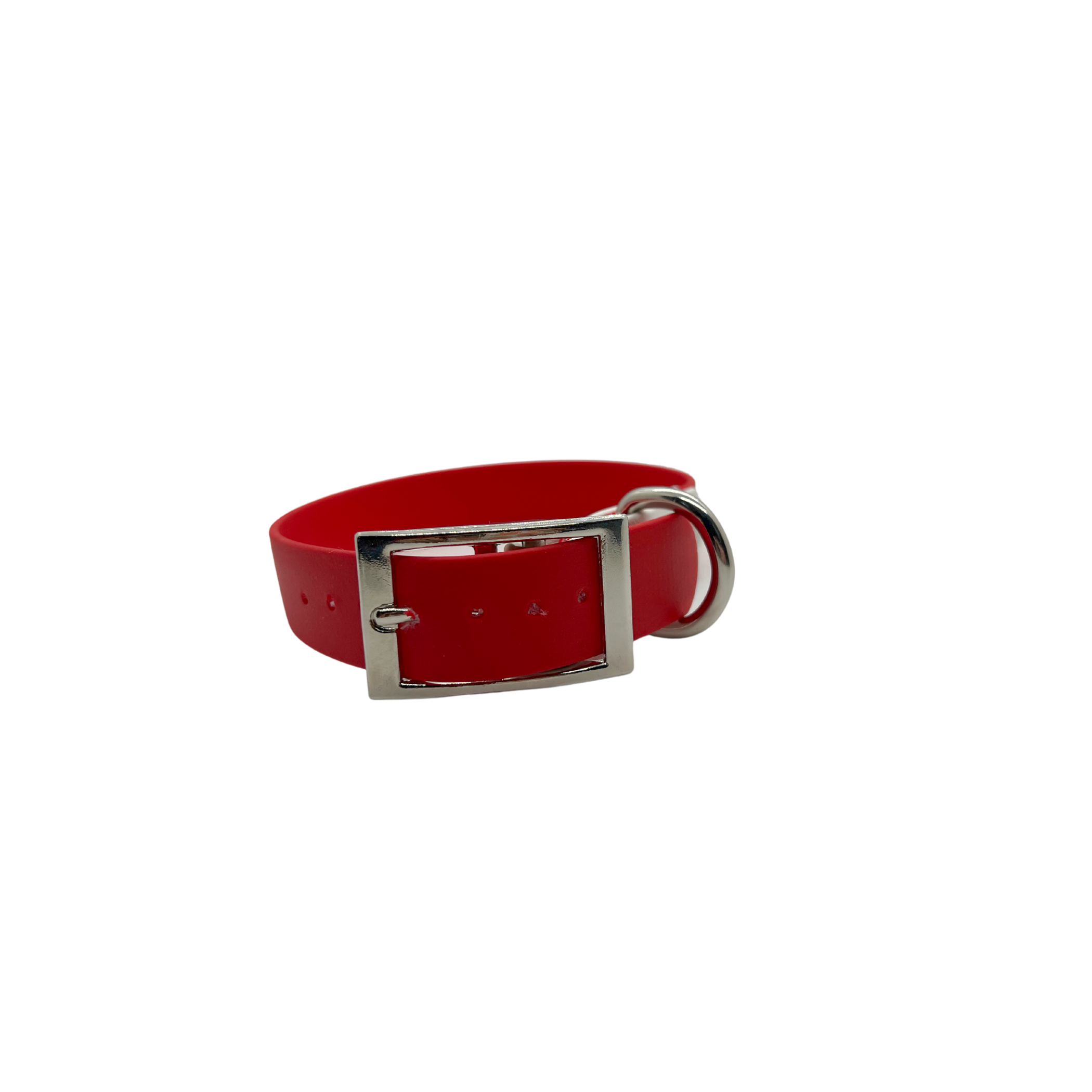 Holiday Biothane Buckle Dog Collar Image 1