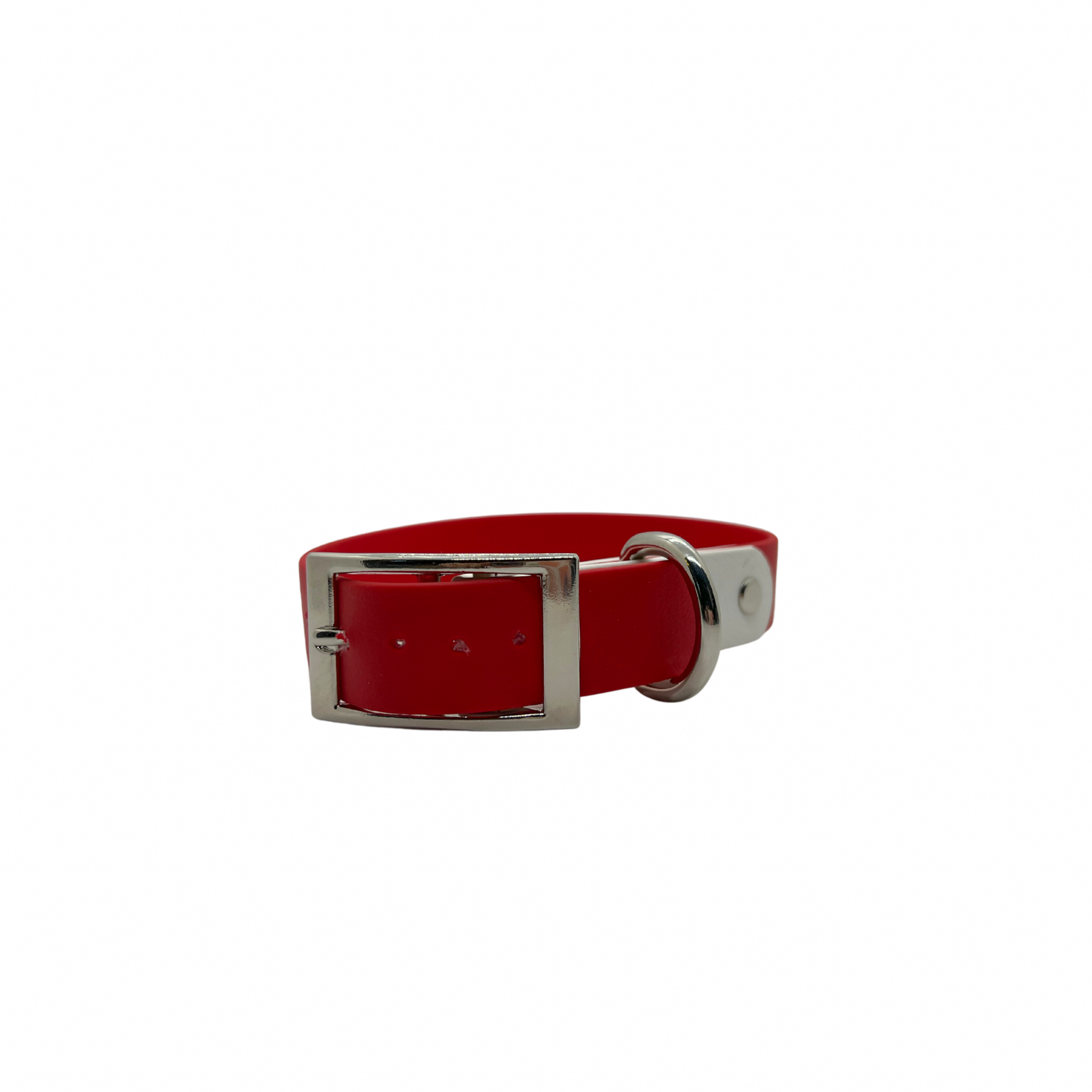 Holiday Biothane Buckle Dog Collar Image 1