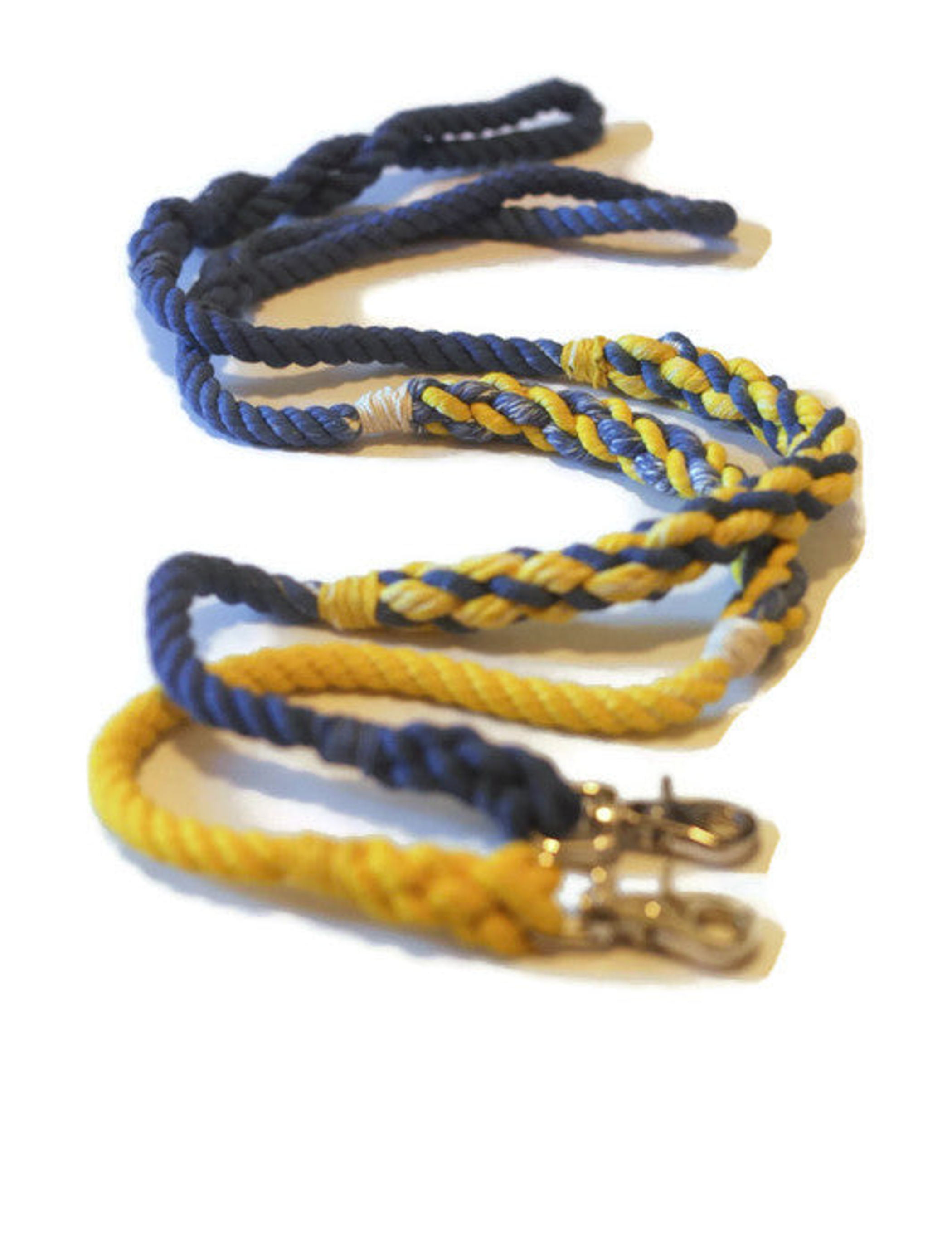Weave Rope Dog Leash Image 1