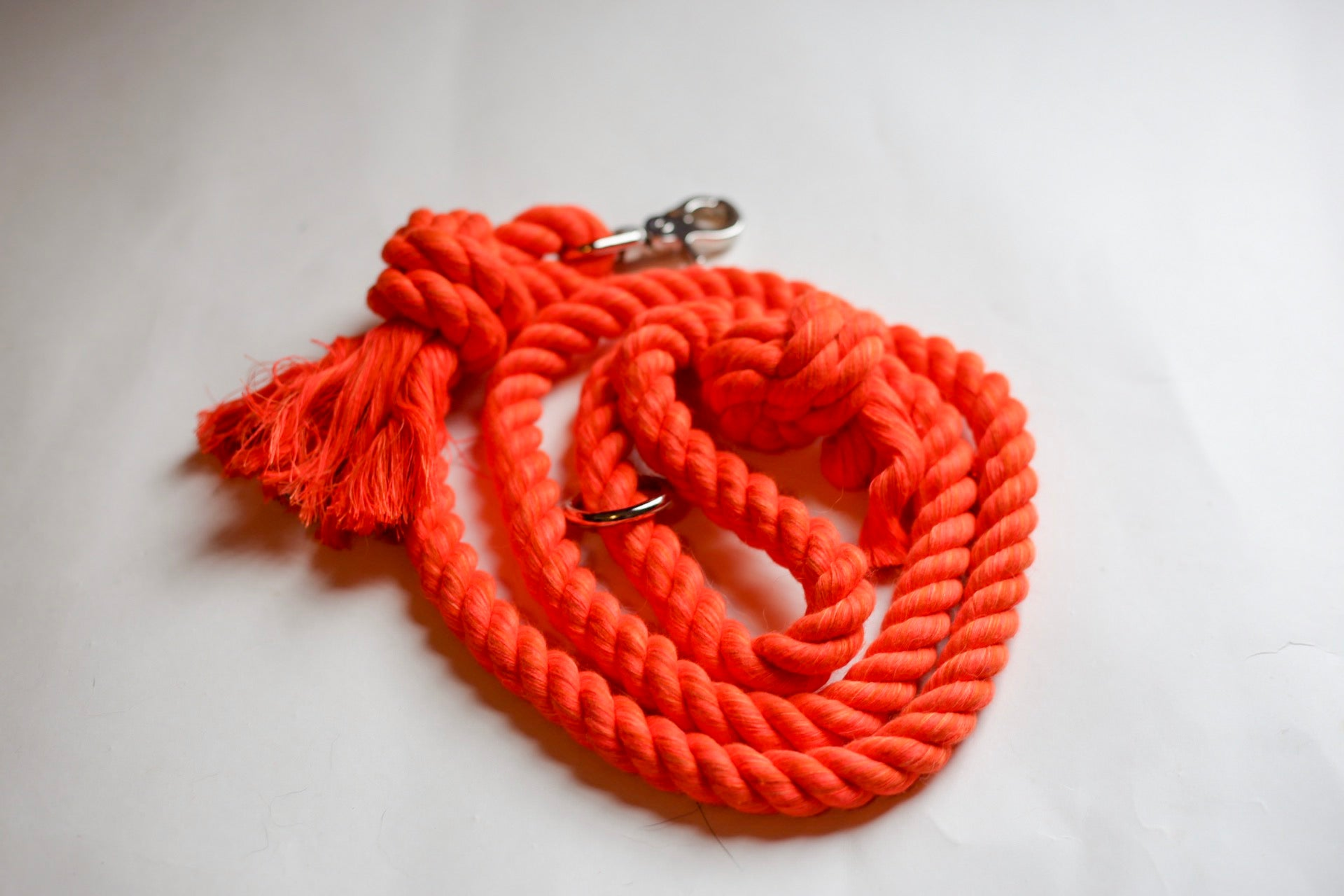Knotted Rope Dog Leash Image 1