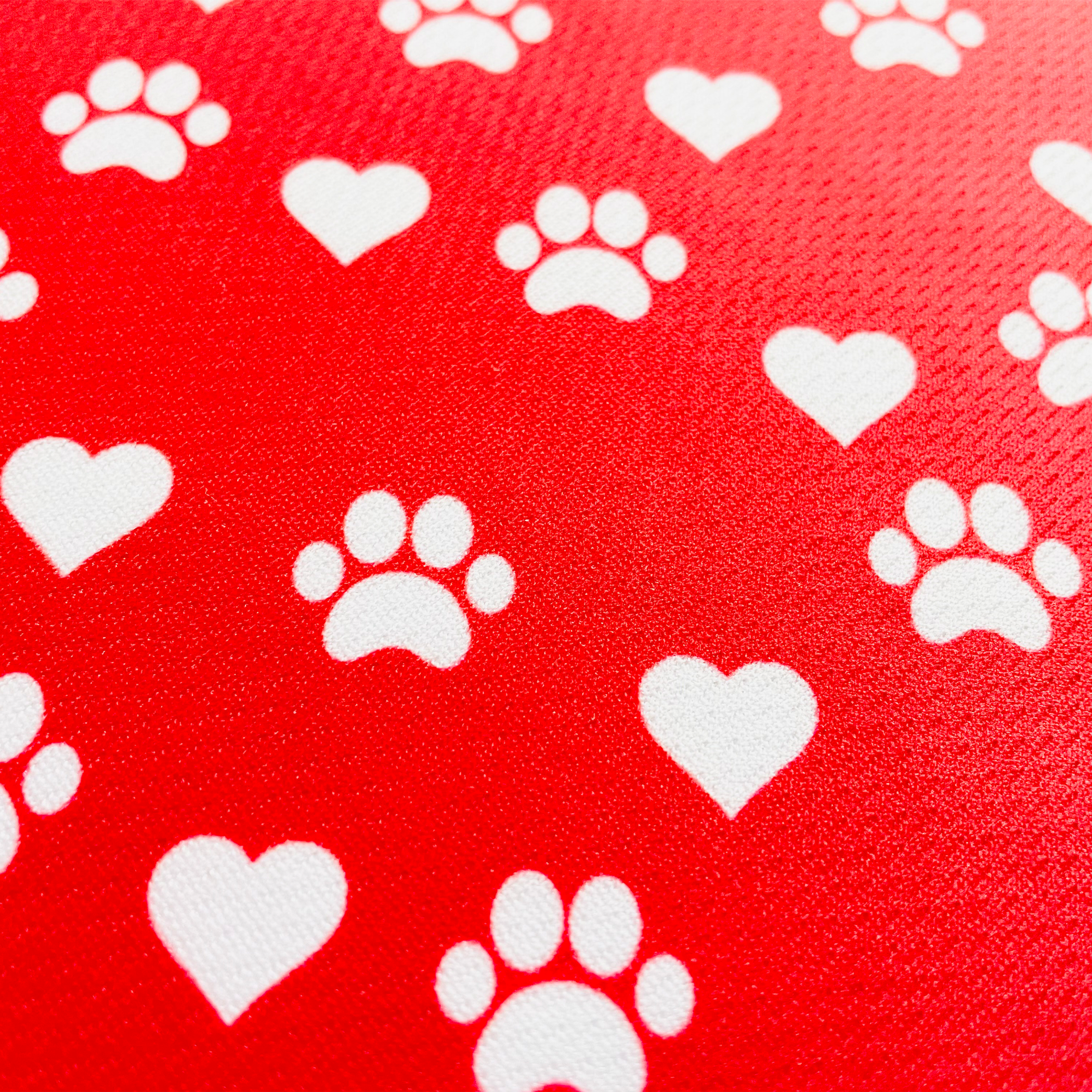 Cutie Ties Tie On Dog Bandana Image 1