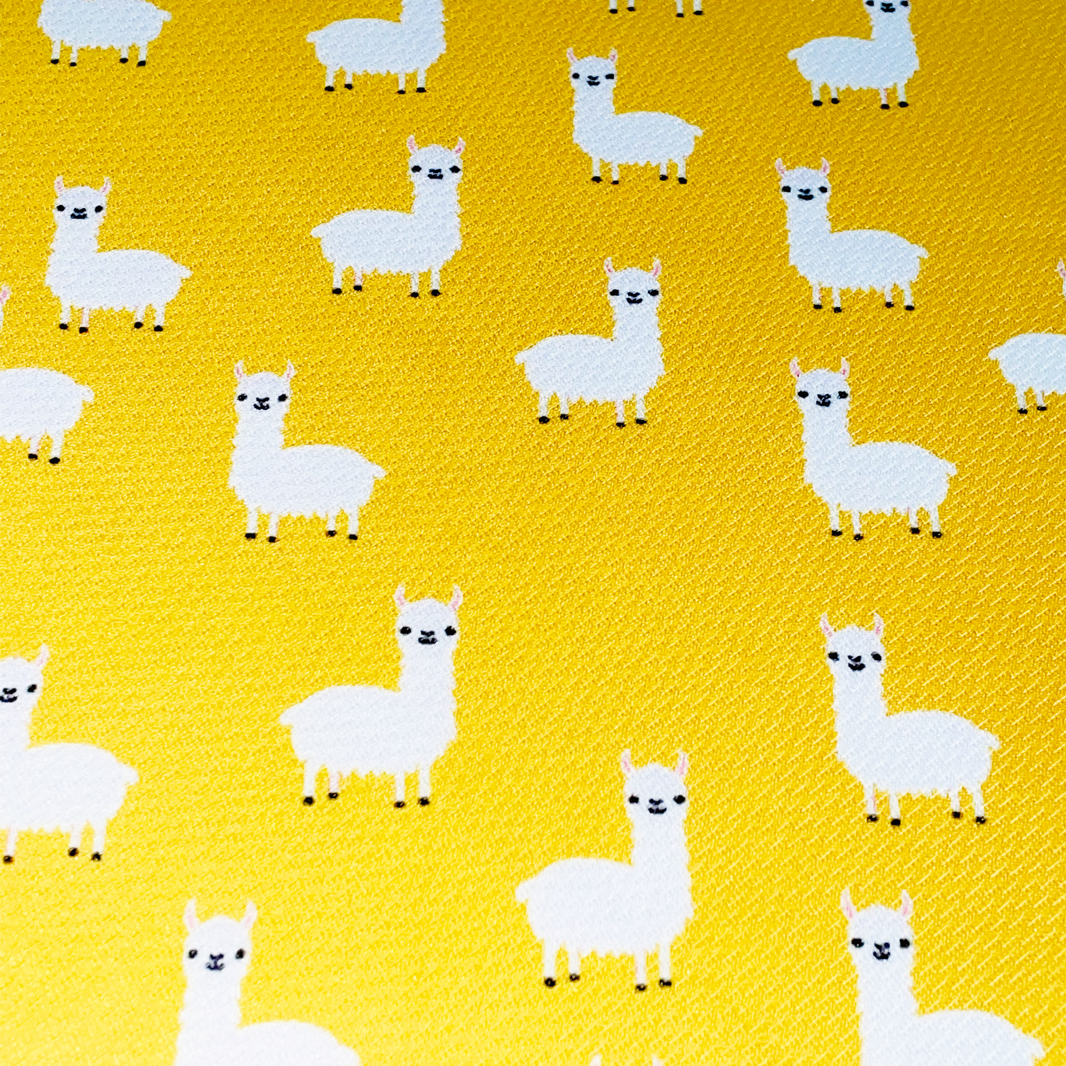 Cutie Ties Tie On Dog Bandana Image 1
