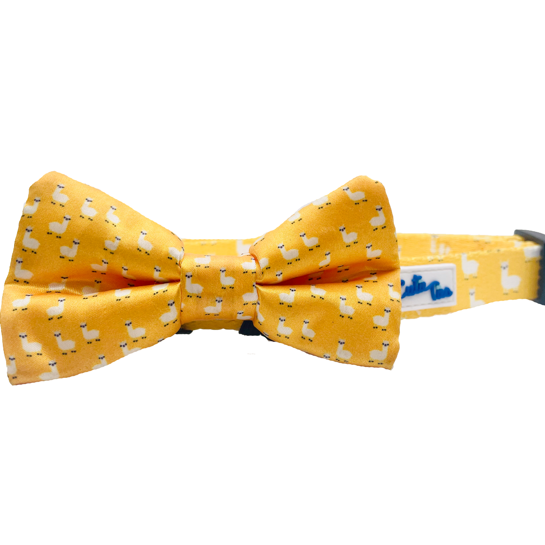 Cutie Ties Dog Bow Tie Image 1