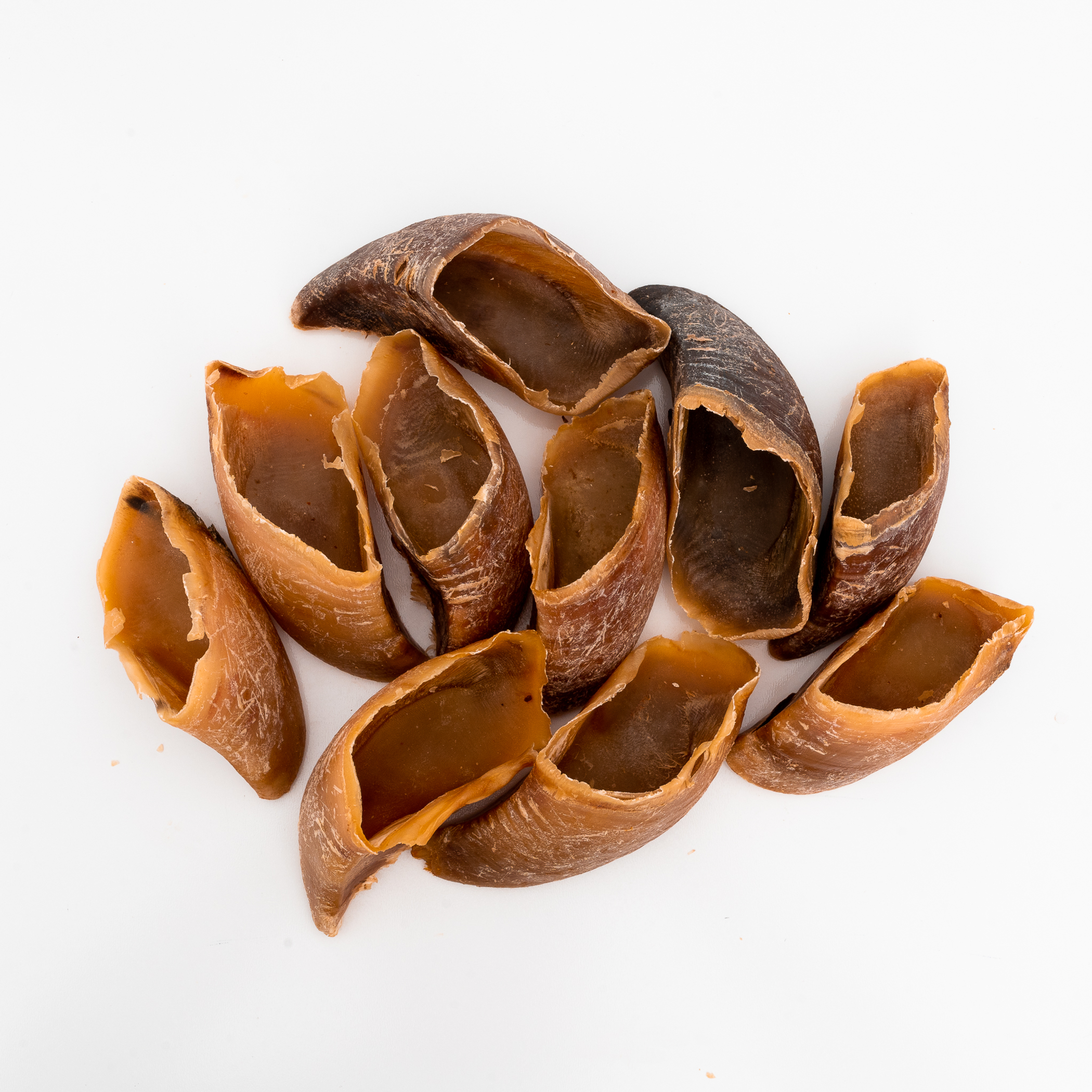 Platinum Pet Treats - Beef Hooves (Pack of 10) Image 1