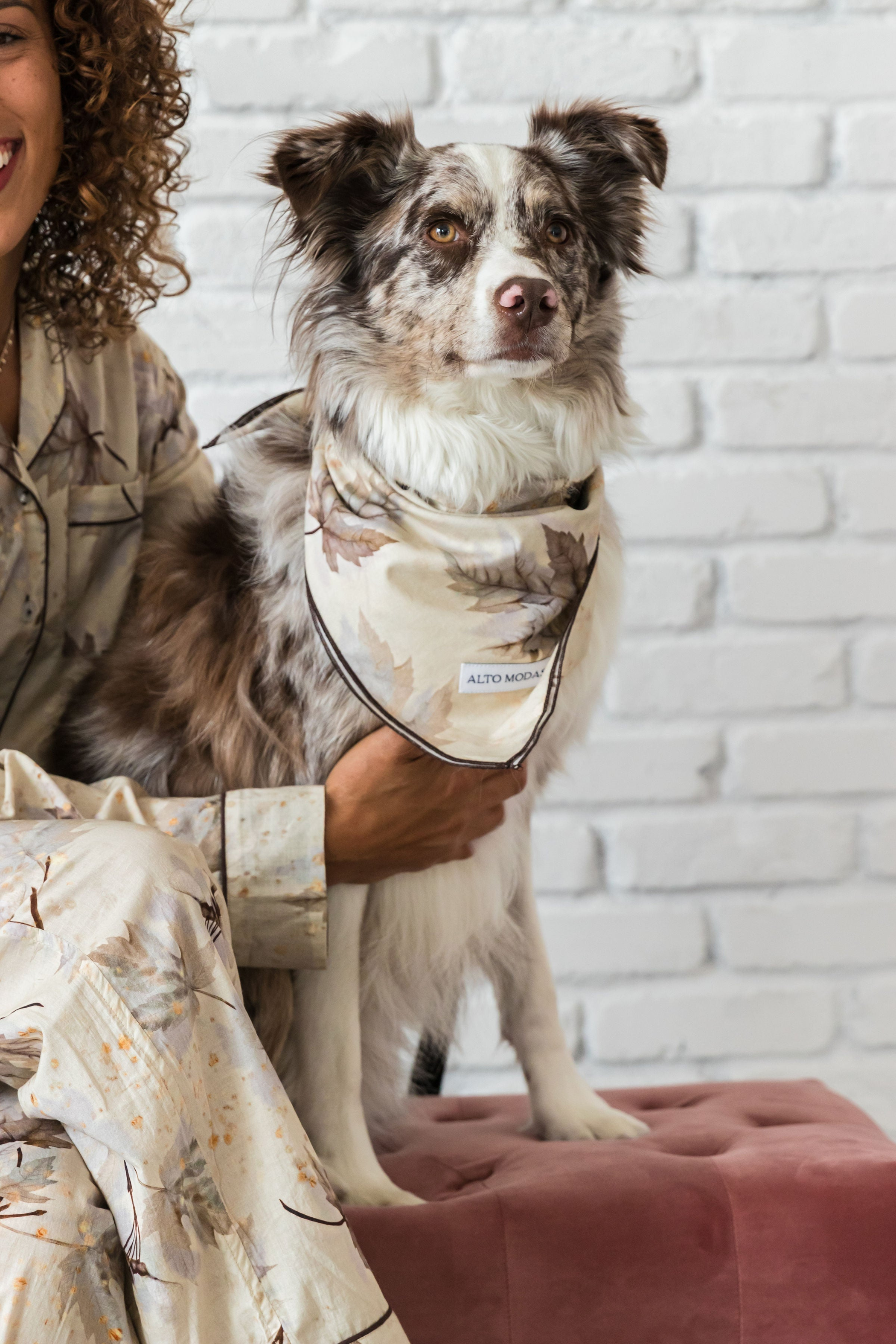 Buddy Dog Bandana Image 1
