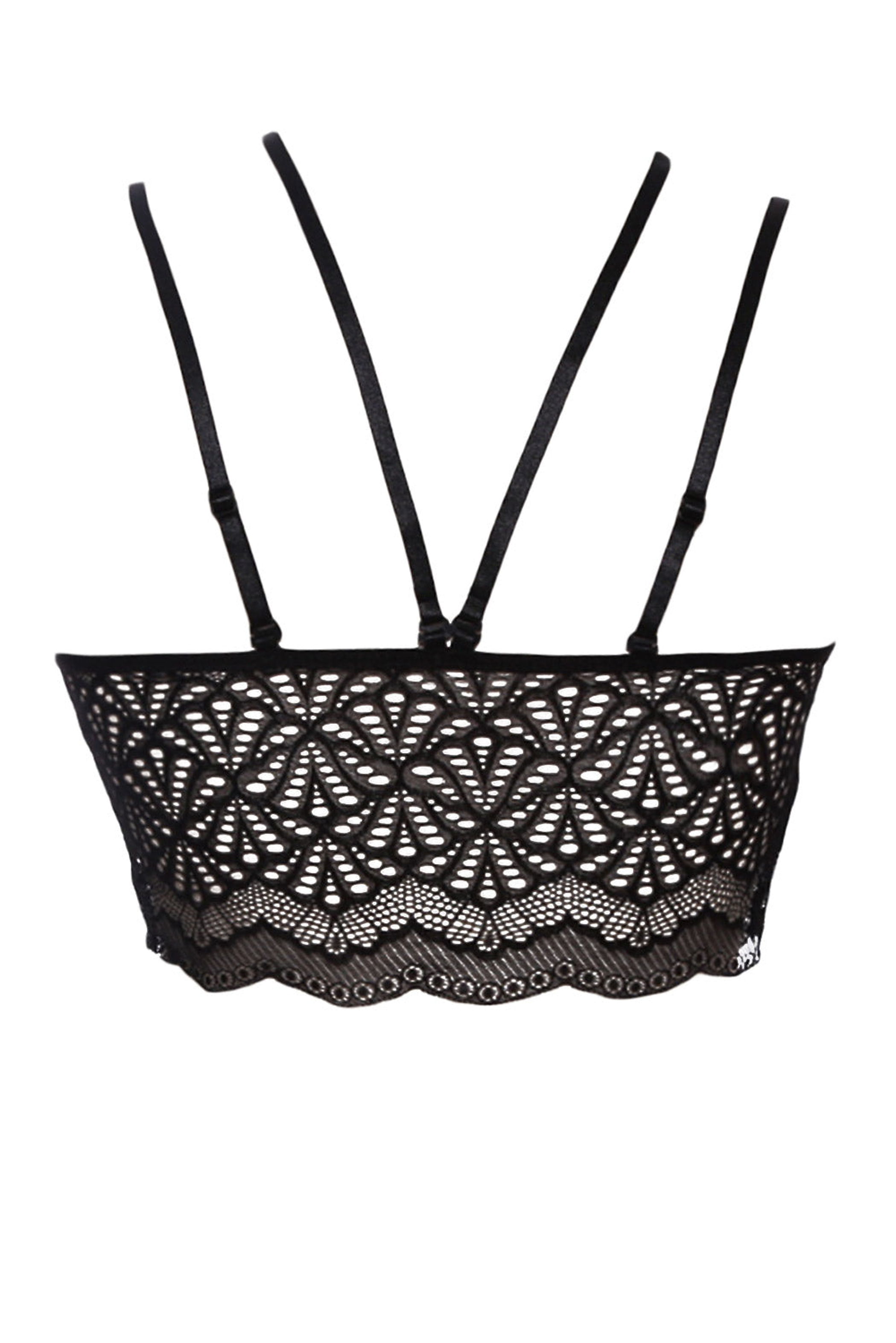 Lace Bra Seductive Strappy Bralette Adjustable Soft Scalloped Lace Perfect Present for Your Lover