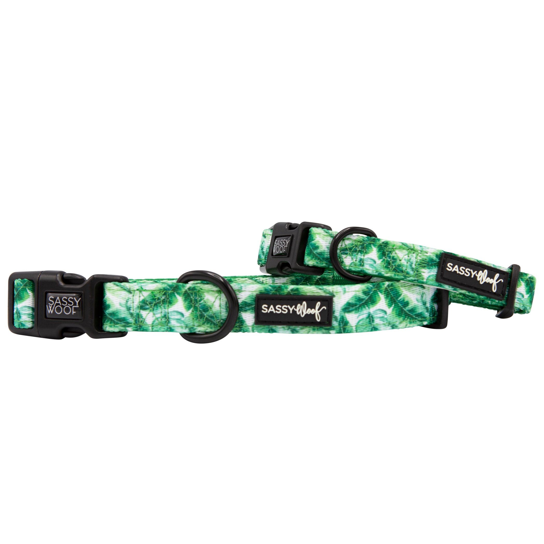 Sassy Woof Dog Collars Image 1