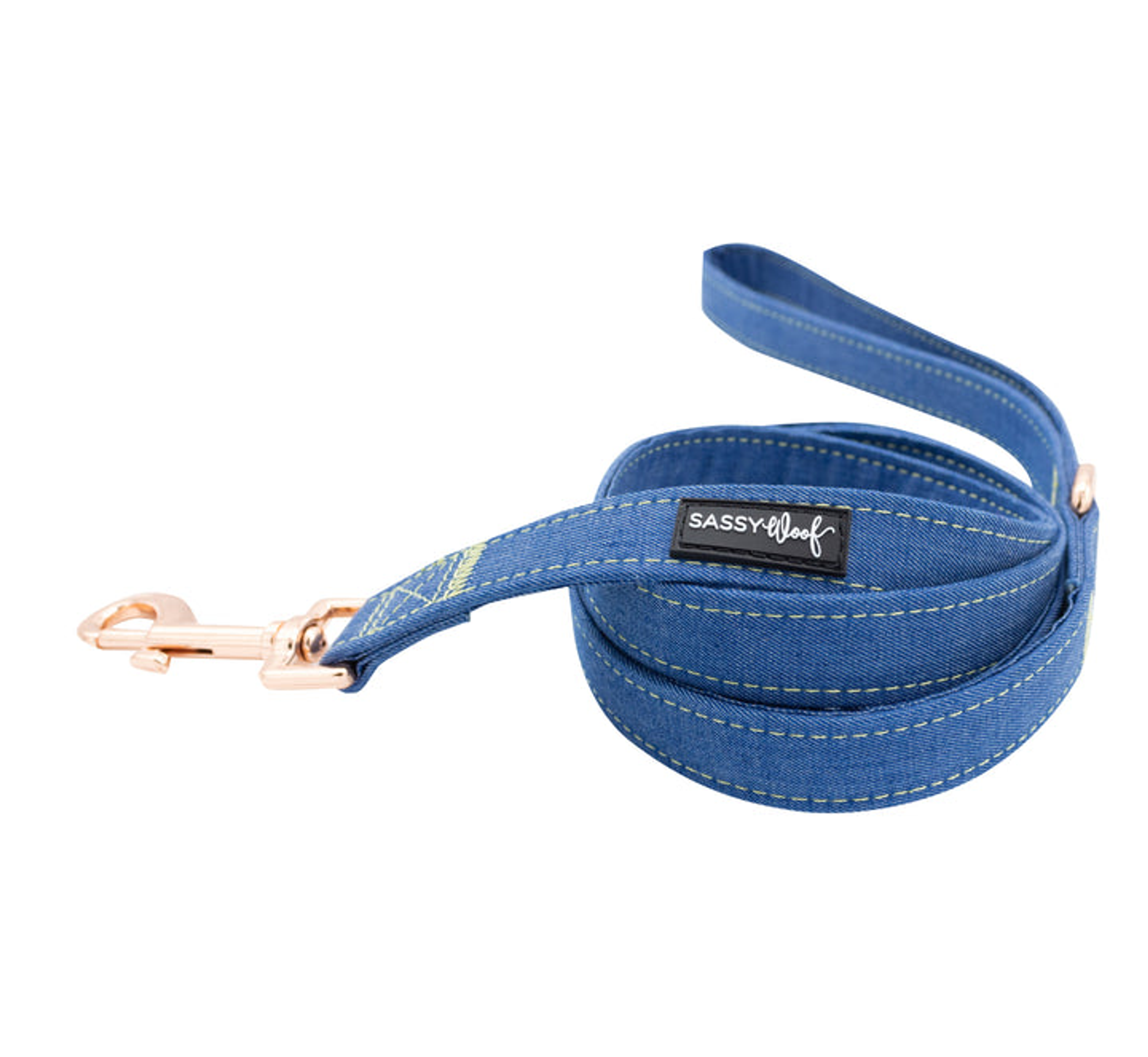Leash Image 1