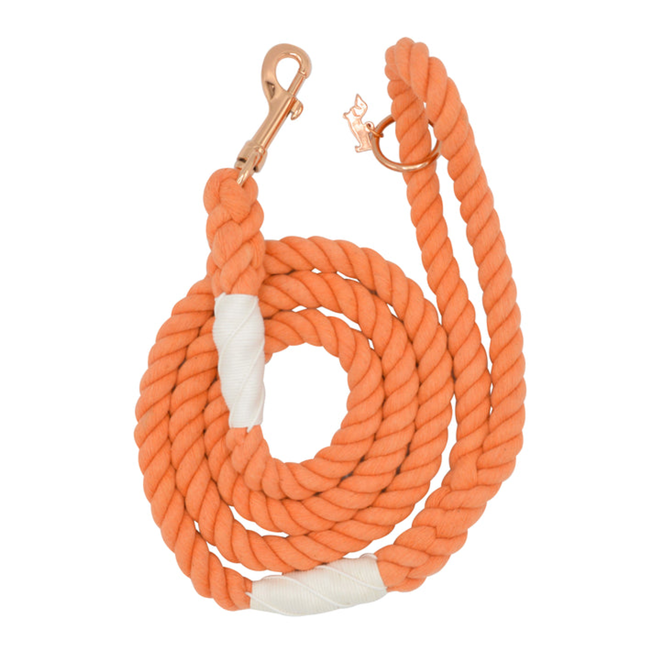 Rope Leash Image 1