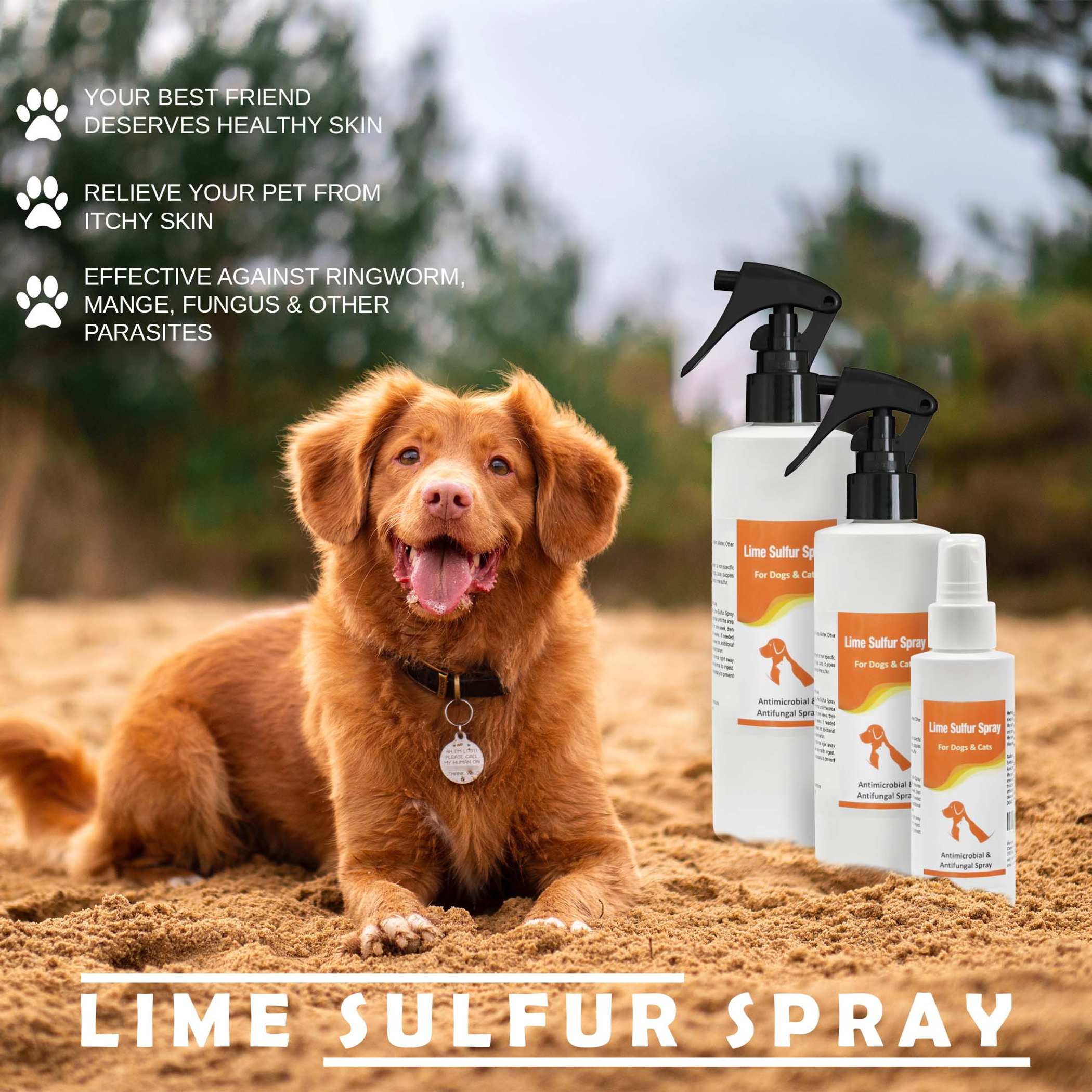 Spray for Pet Care for Dry Itchy Skin Treatment Gentle Formula with Aloe Vera 8 Ounces Easy to Use Bottle
